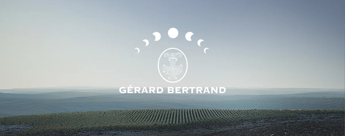 Une année sous le signe du vin multidimensionnel