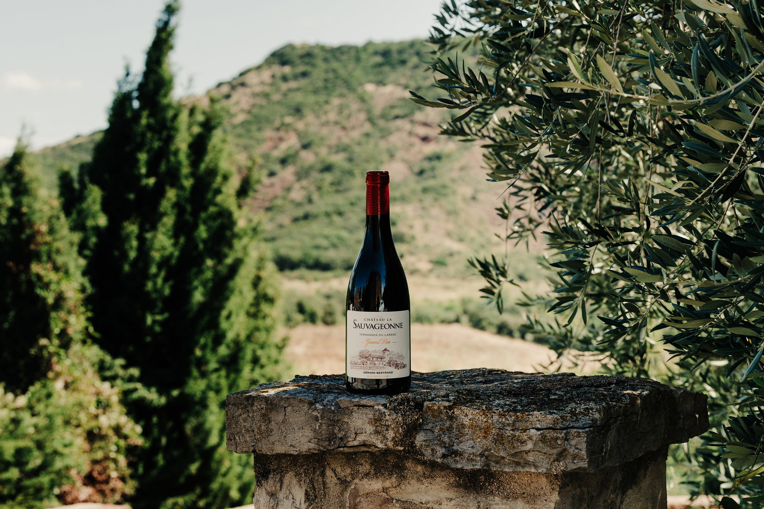 Château La Sauvageonne Grand Vin Rouge 2022 75cl - Gérard Bertrand