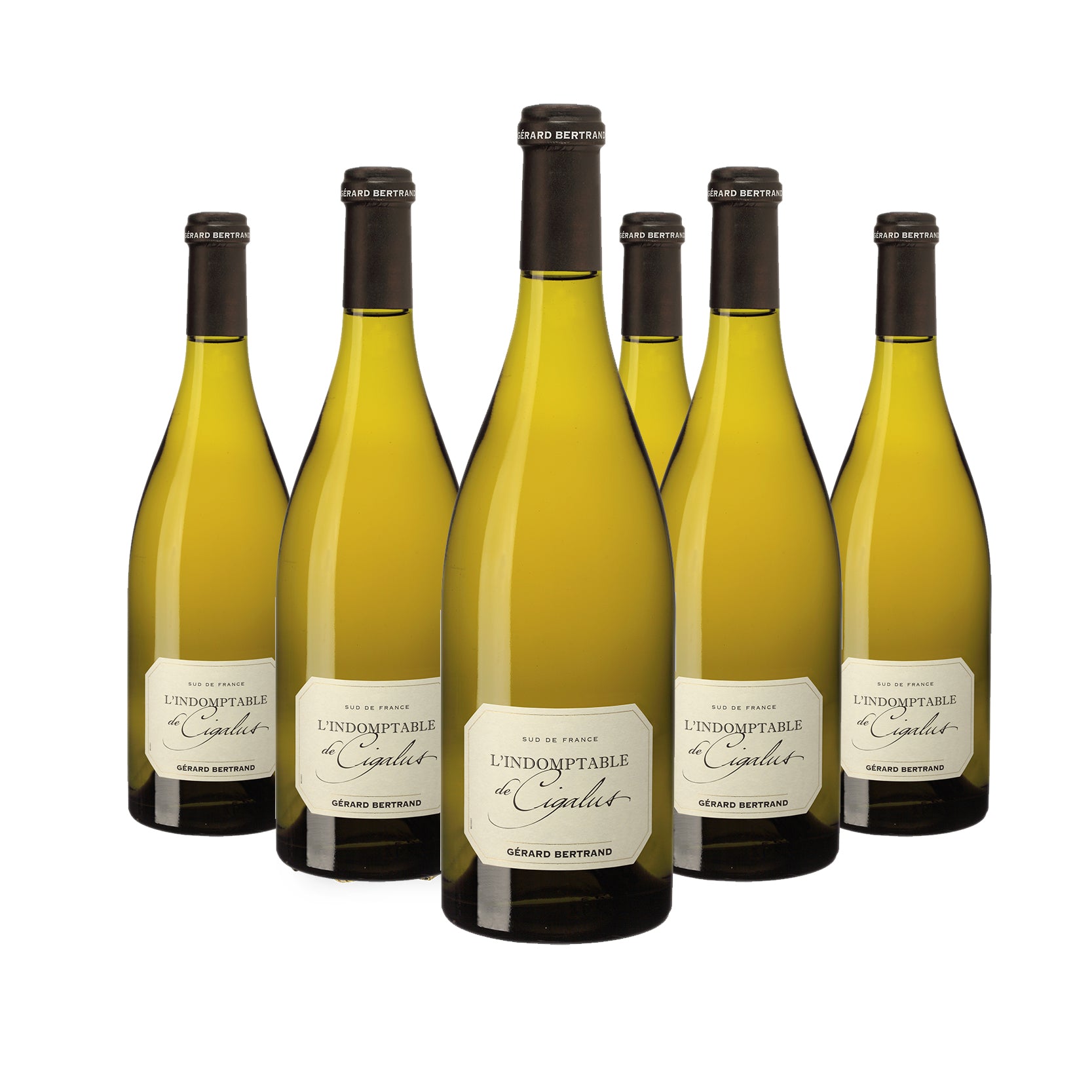 Indomptable de Cigalus vin blanc bio 2024 Lot 6 bouteilles 75cl - Gérard Bertrand