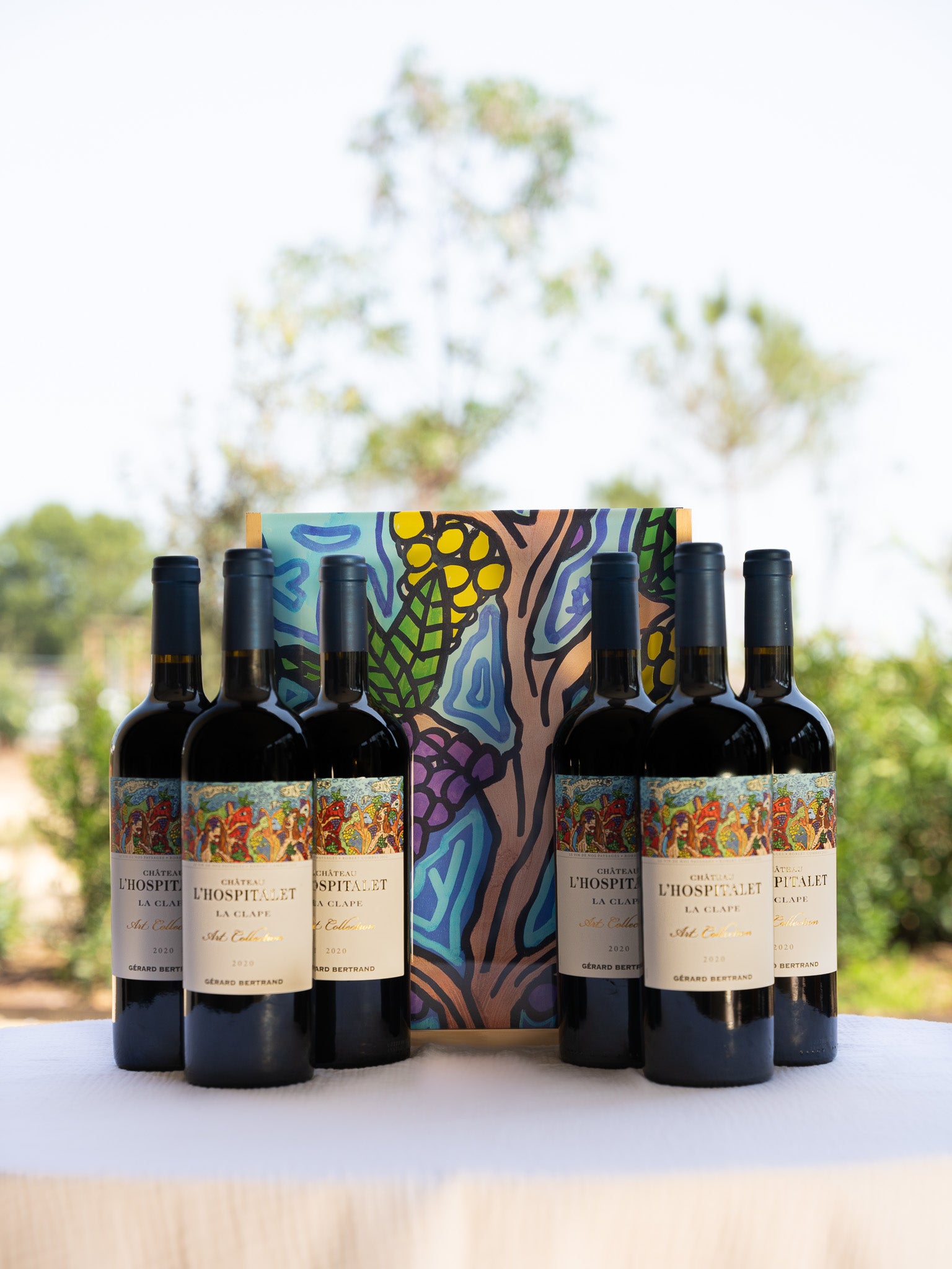 CHÂTEAU L’HOSPITALET ART COLLECTION Coffret 6x75cl 2020 - « LE VIN DE NOS PAYSAGES » ROBERT COMBAS - Gérard Bertrand