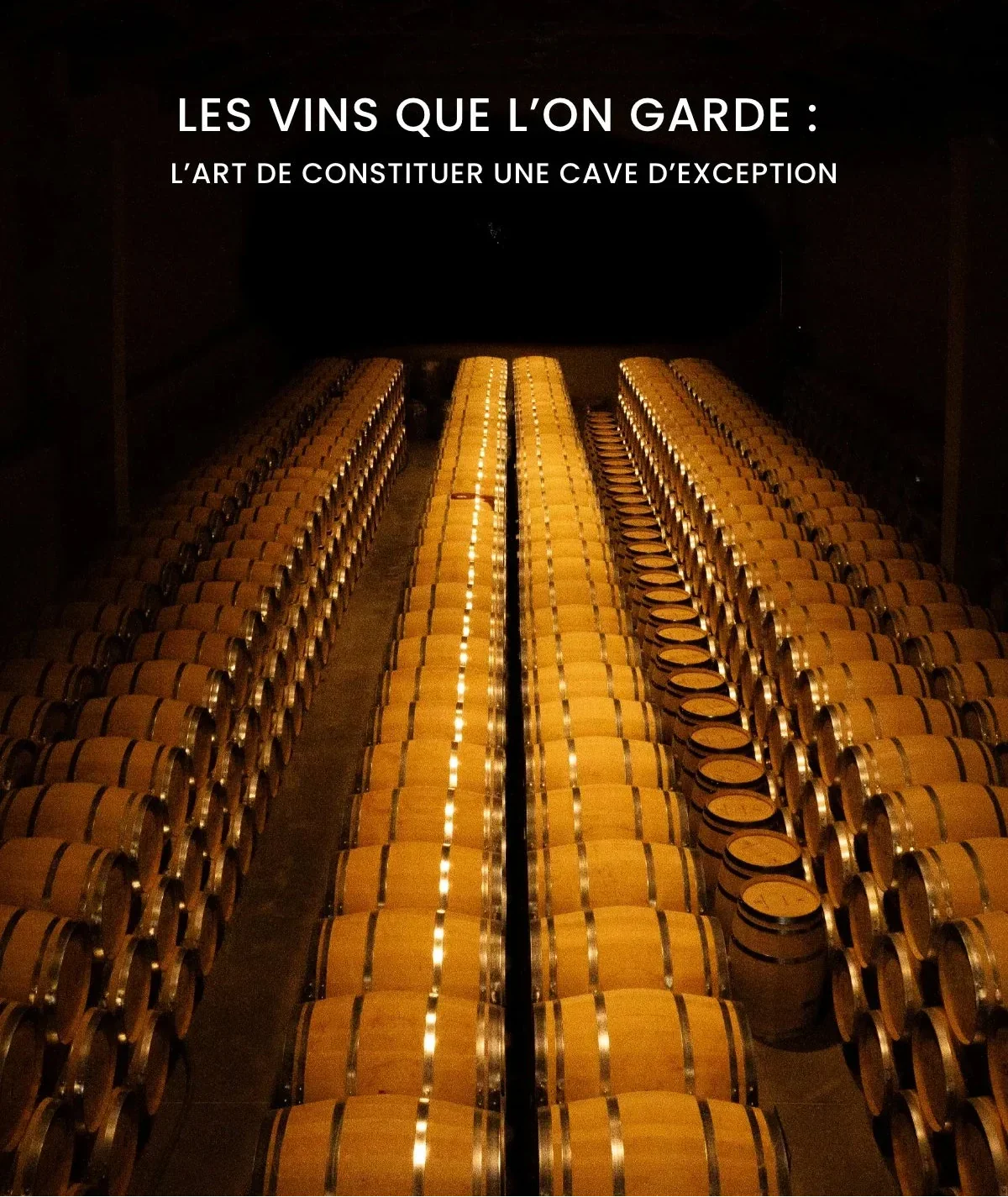 Les vins que l'on garde : l'art de constituer une cave d'exception