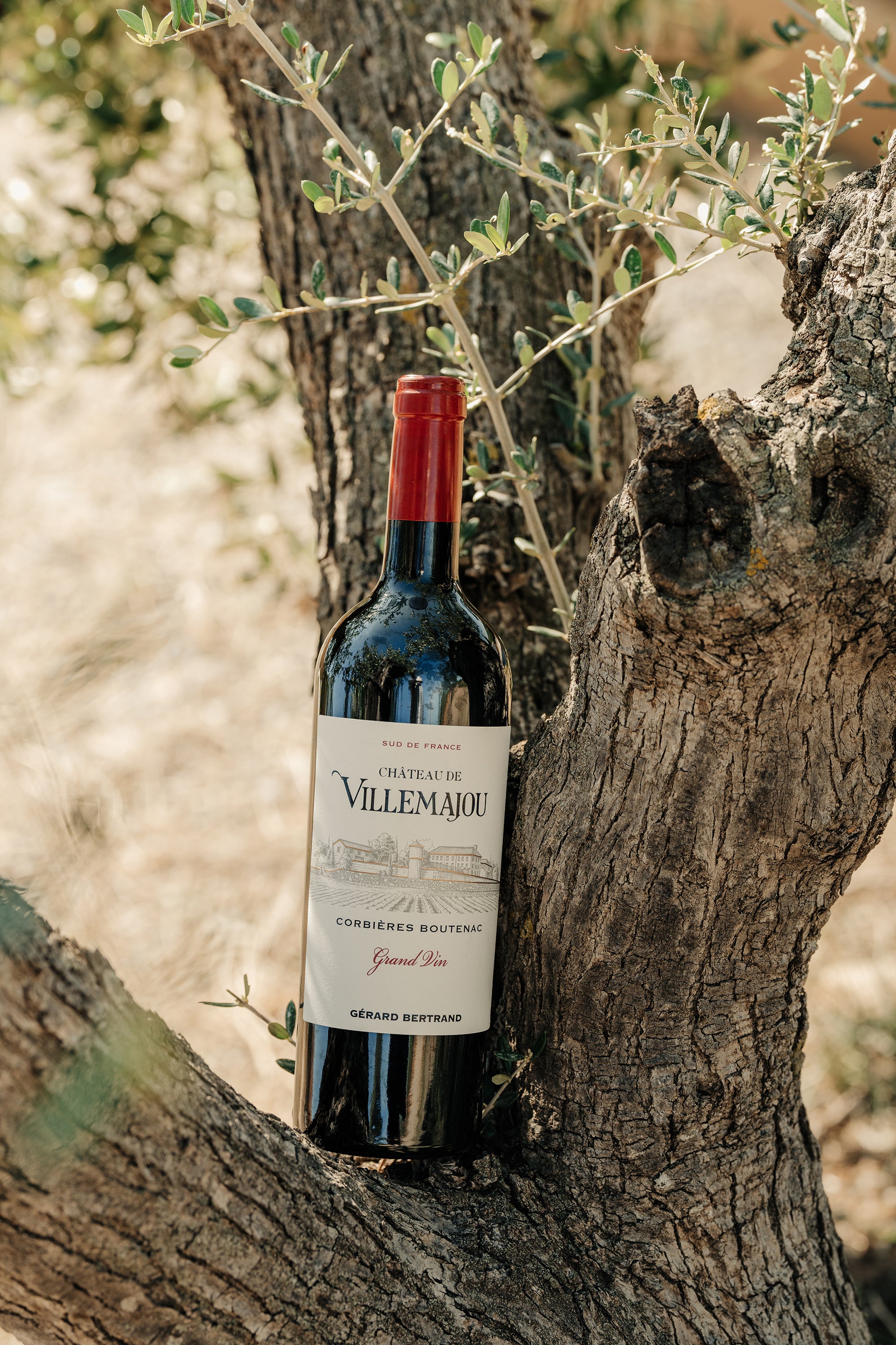 Château de Villemajou Grand Vin Rouge 75cl 2015 - Gérard Bertrand