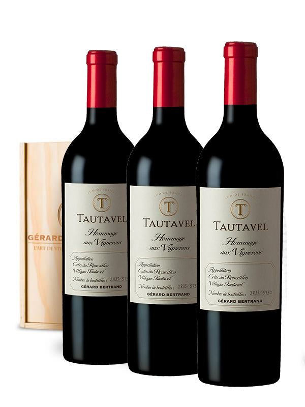Tautavel Hommage aux vignerons 2022 - Caisse Bois 3 Bouteilles - Gérard Bertrand