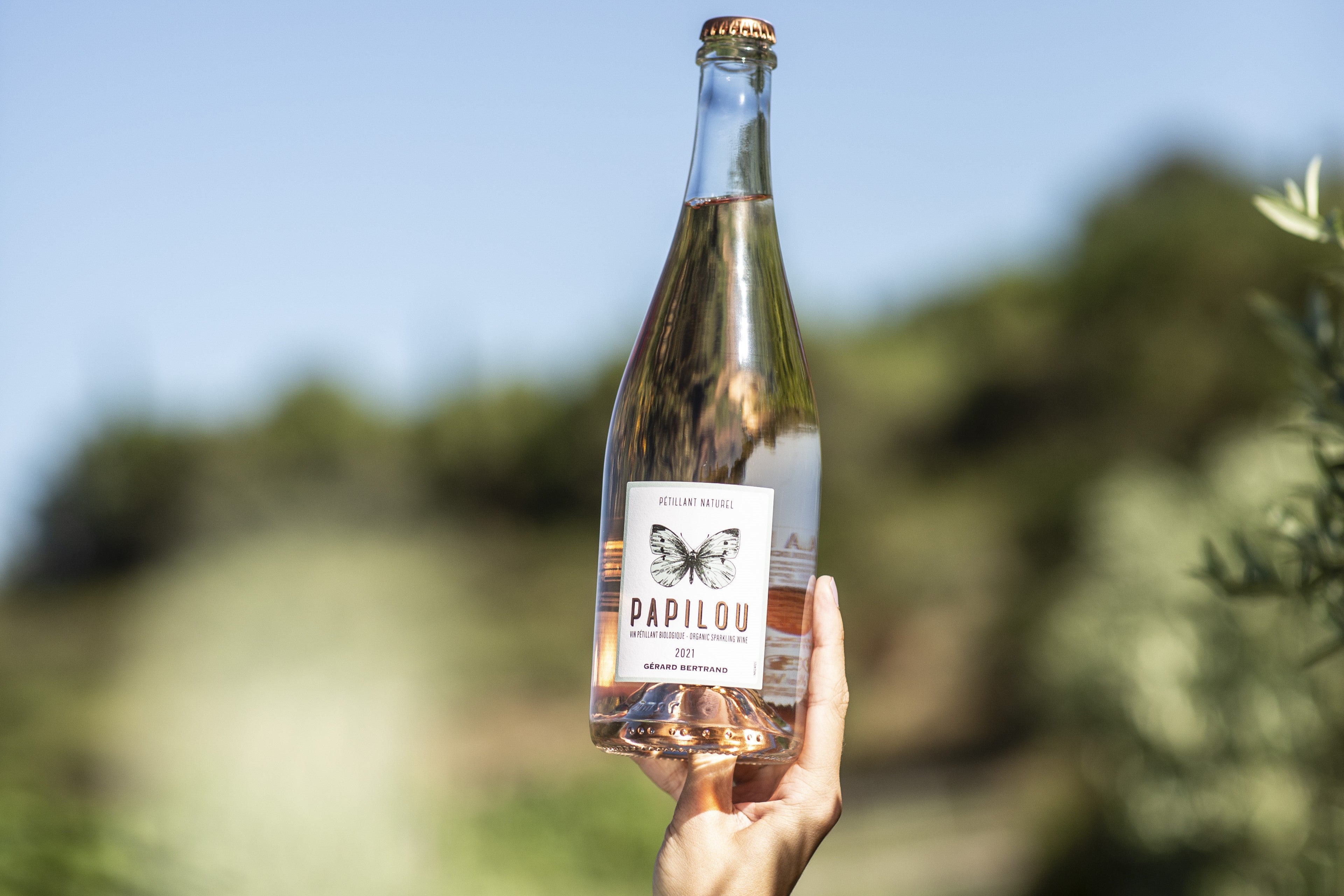 Comment lire une étiquette de vin ?