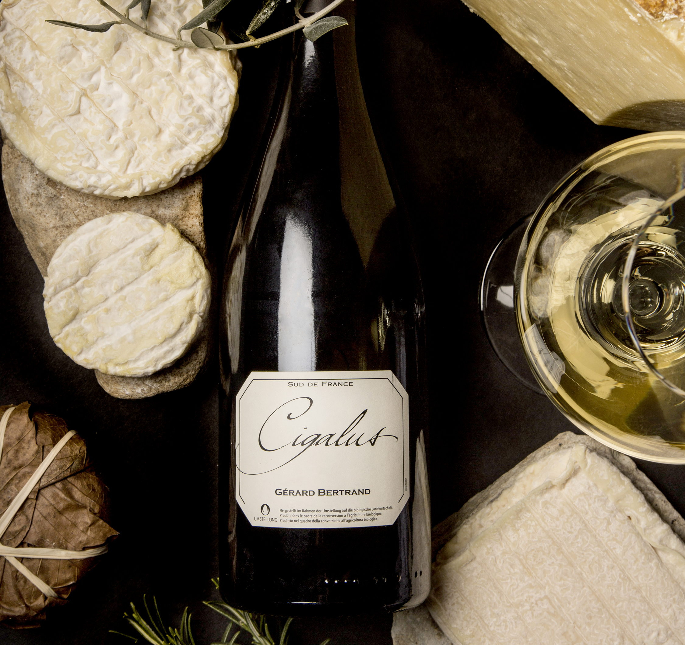 Cigalus 2024 75cl vin blanc biodynamique Caisse Bois 6 Bouteilles - Gérard Bertrand