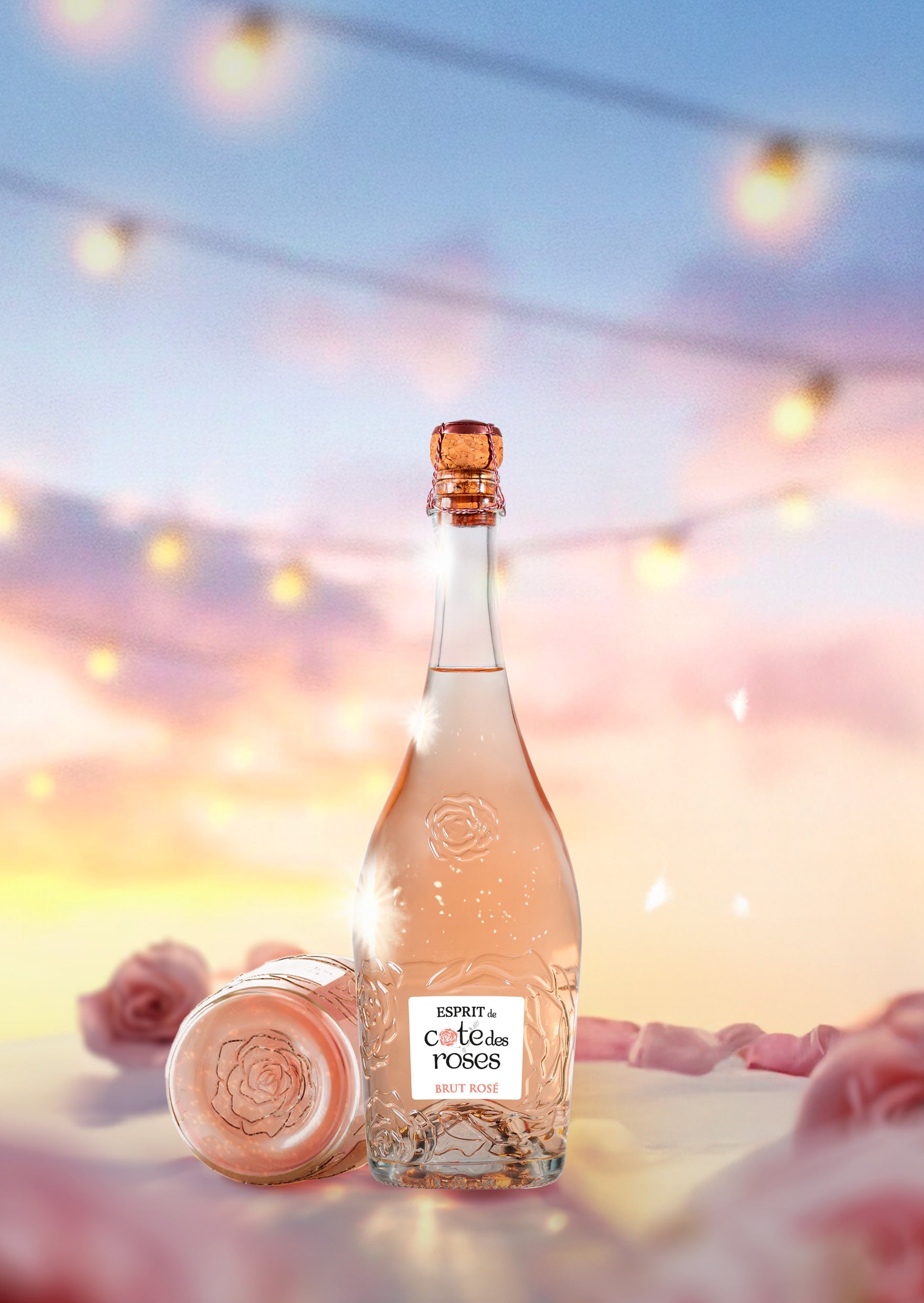 泡：Esprit de Cote des Roses、新たなロゼの輝き！