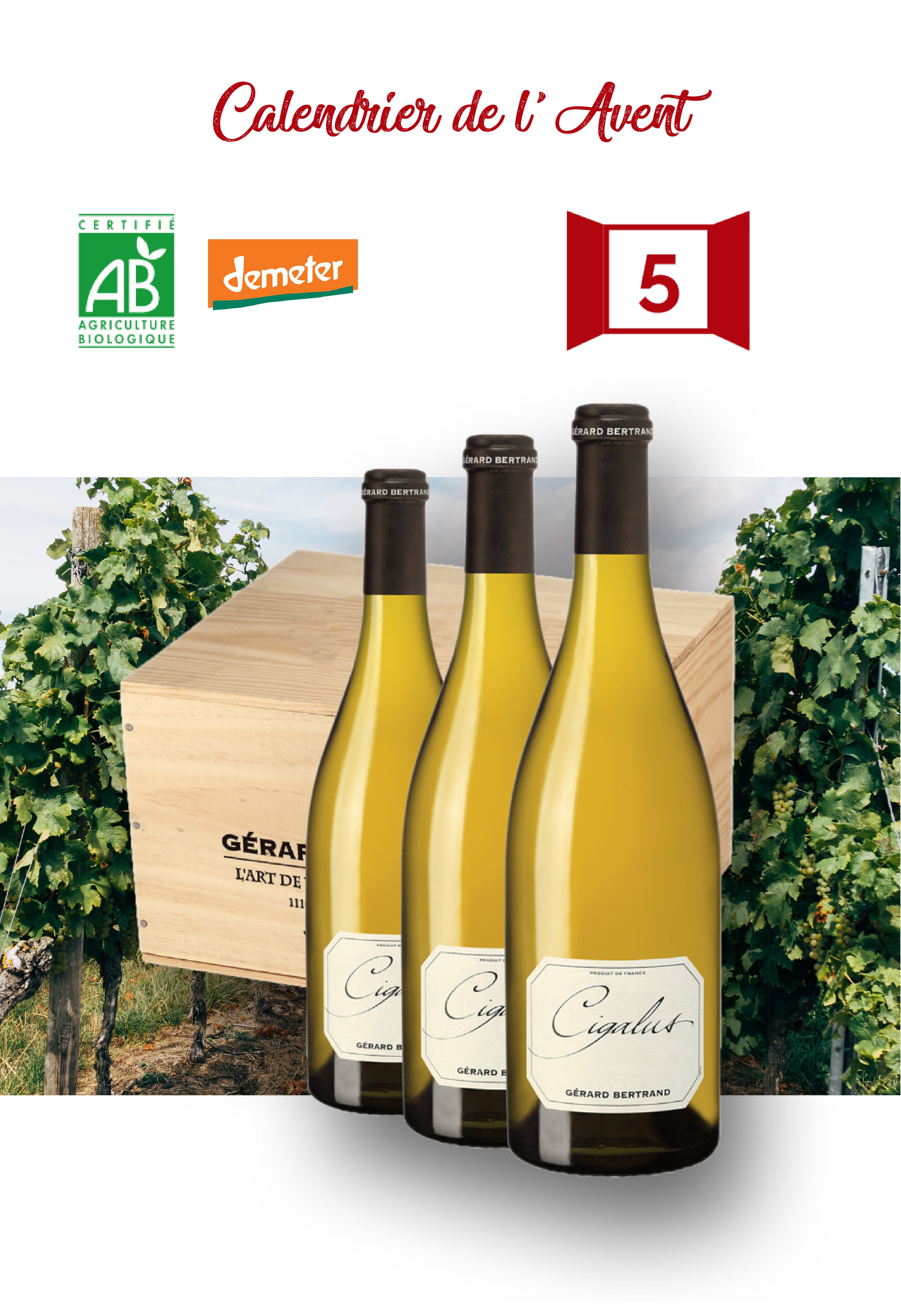 Calendrier de l'Avent Jour 5