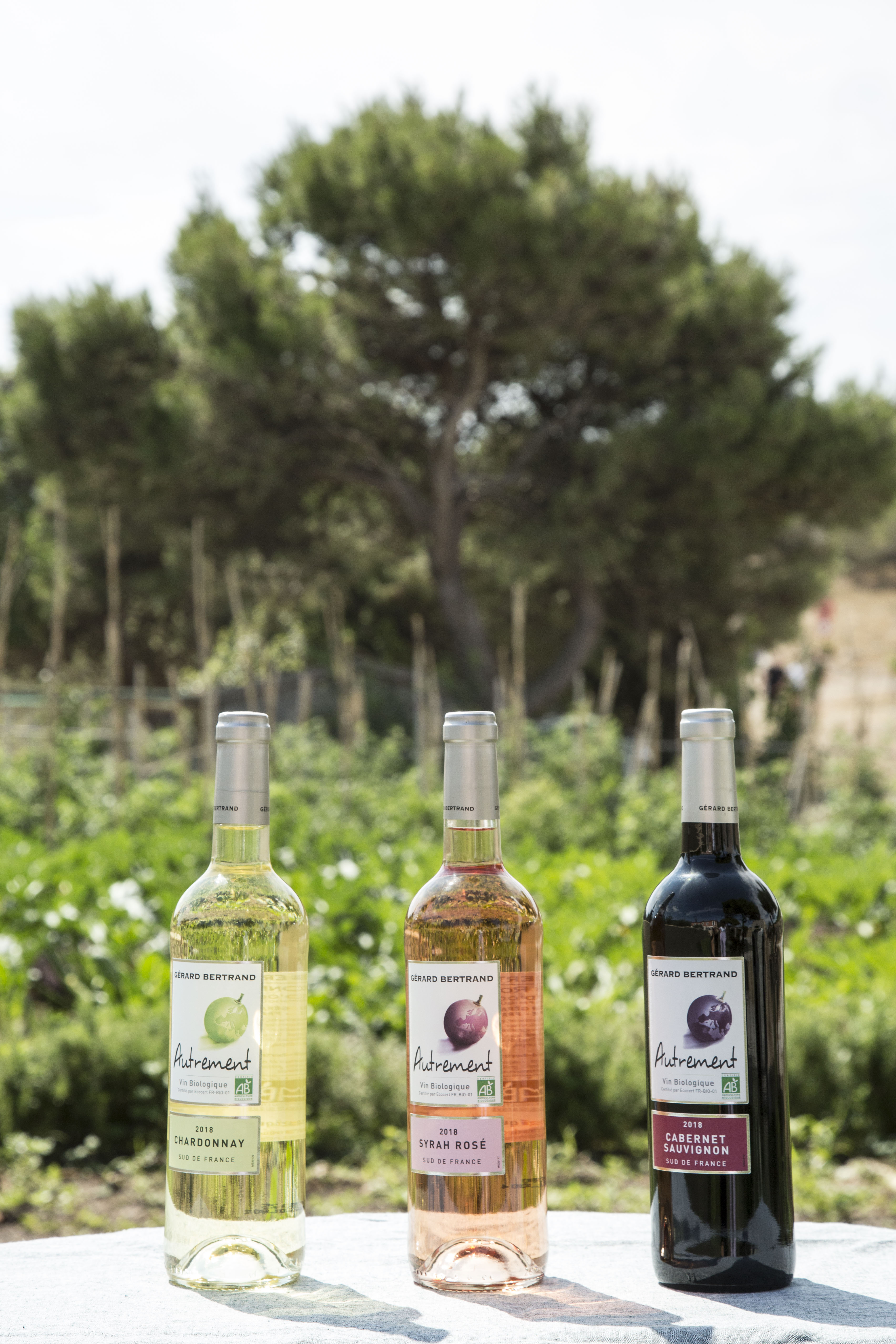 Autrement Grenache rosé 2024 Lot 6 bouteilles 75cl - Gérard Bertrand