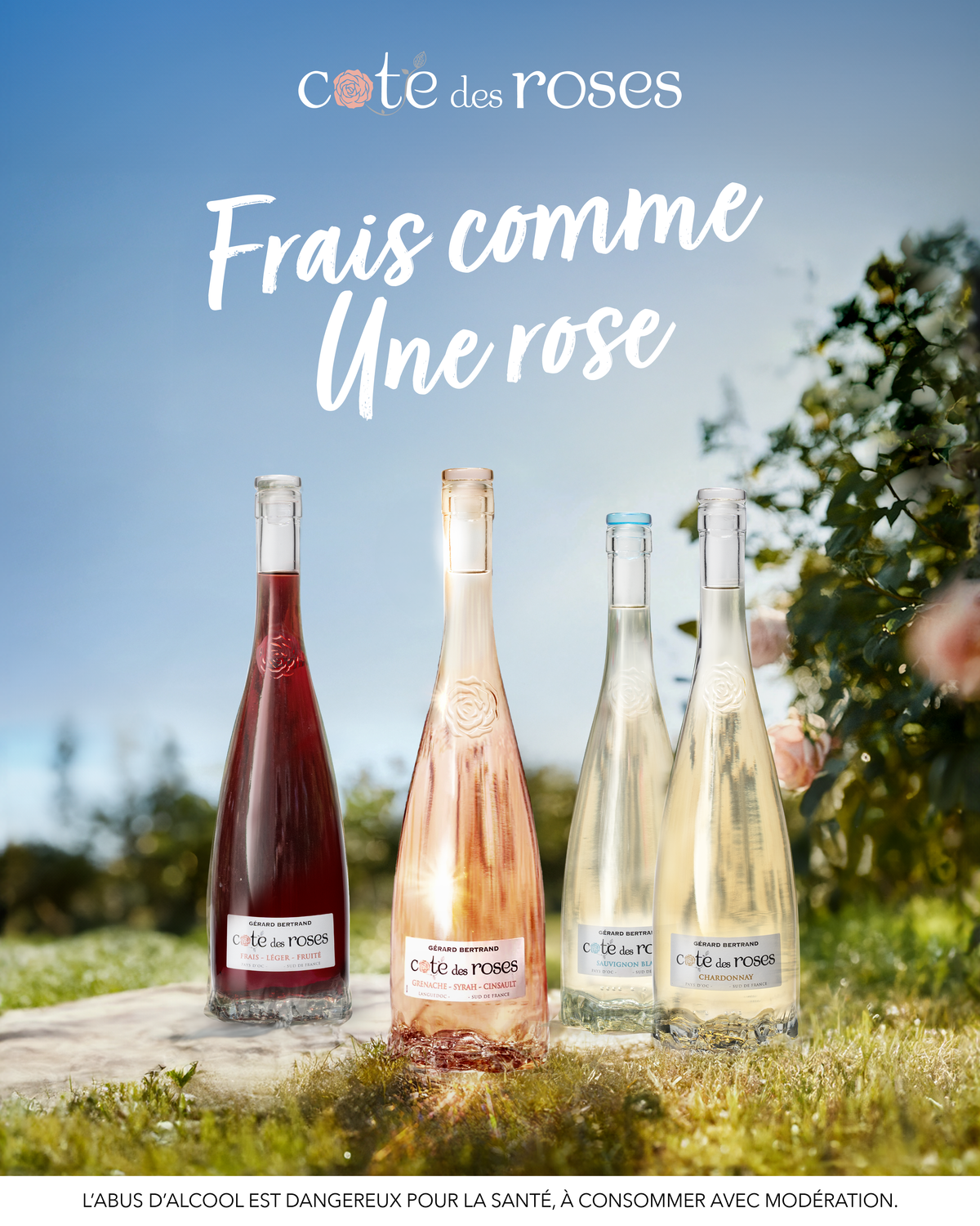 Coffret Cote des Roses rosé, Pinot noir et Chardonnay