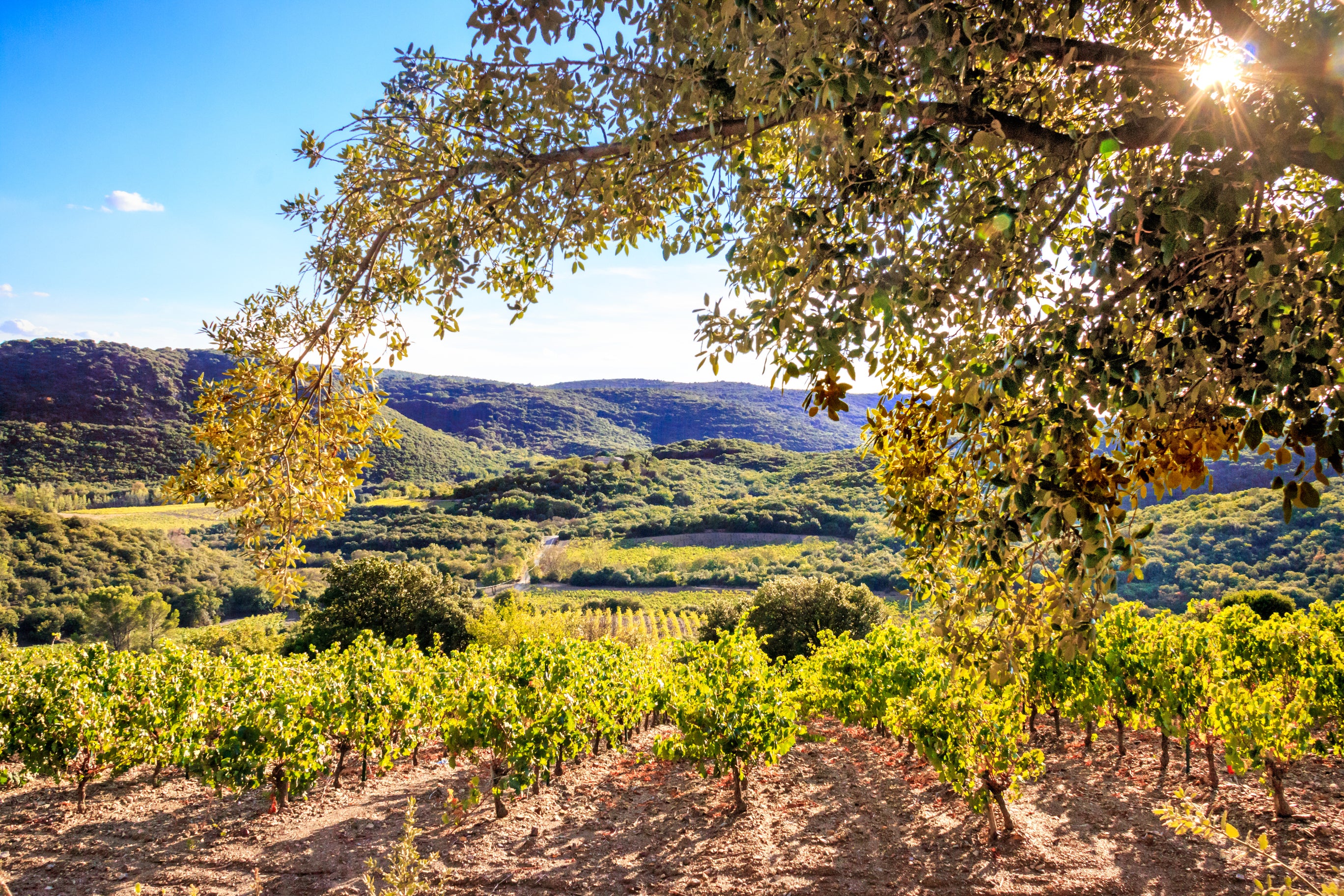 Domaine Gérard Bertrand