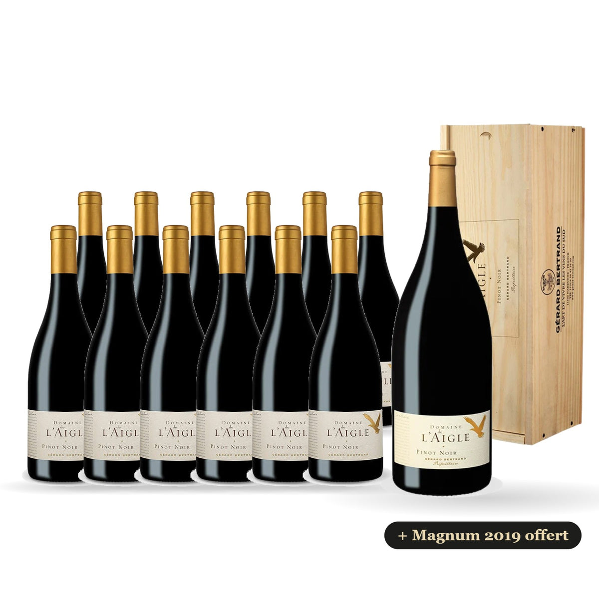 Lote de 12 botellas de Domaine de l'Aigle Pinot Noir 2024 con un magnum de 2019 de regalo