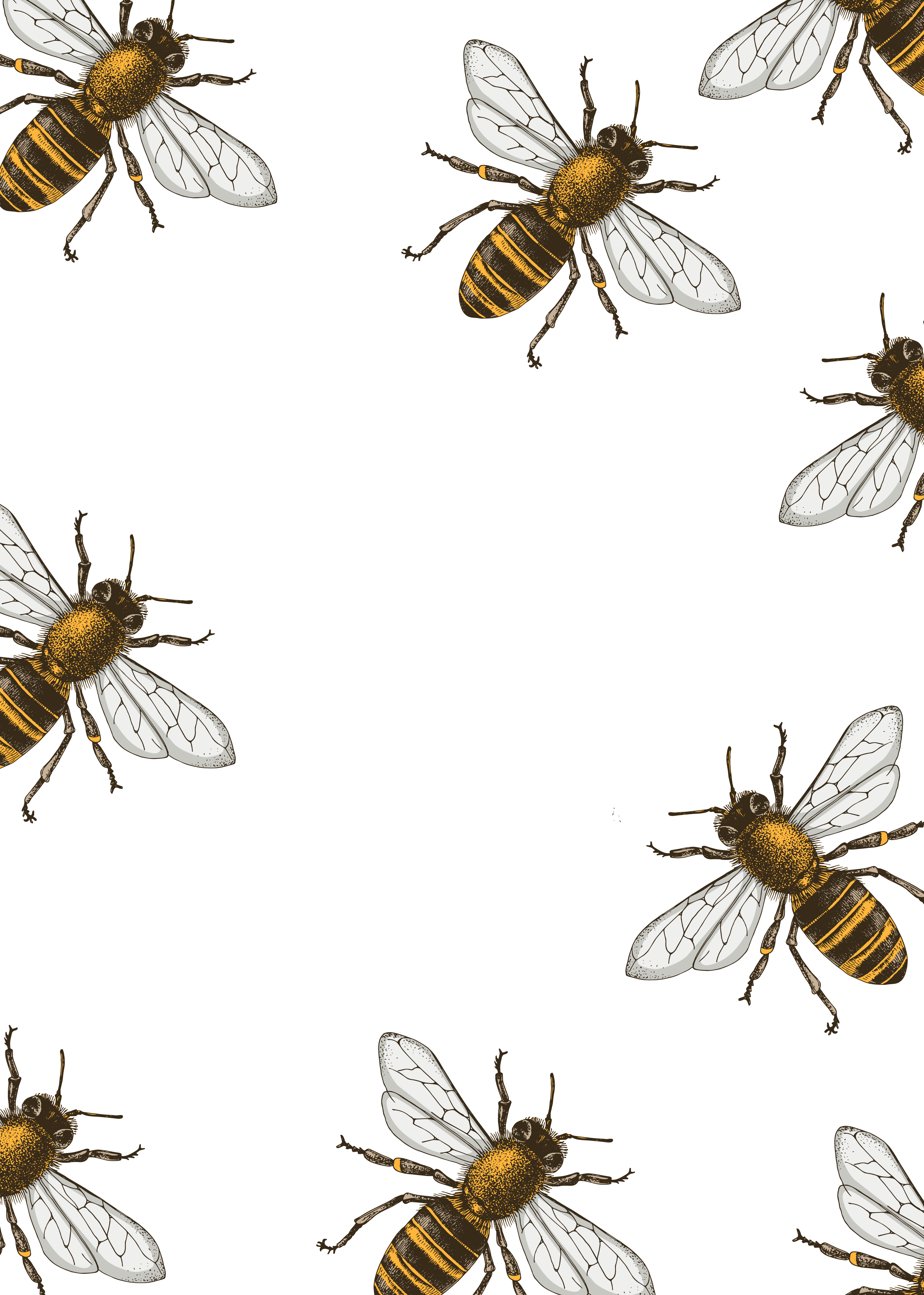 Nos vins Bee Frendly