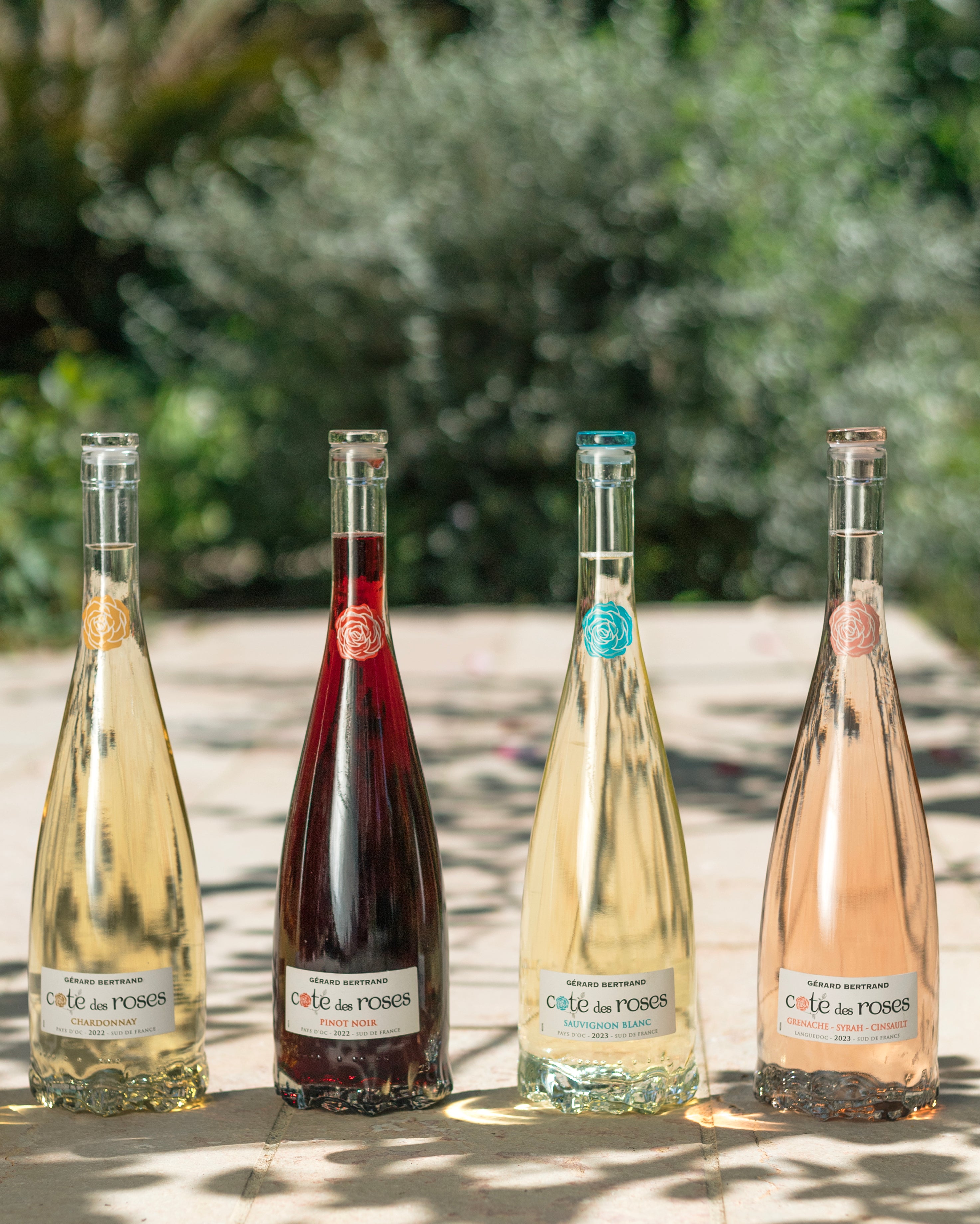 Cote des Roses Pinot noir vin rouge 6 demi bouteilles 37,5cl 2022 - Gérard Bertrand 