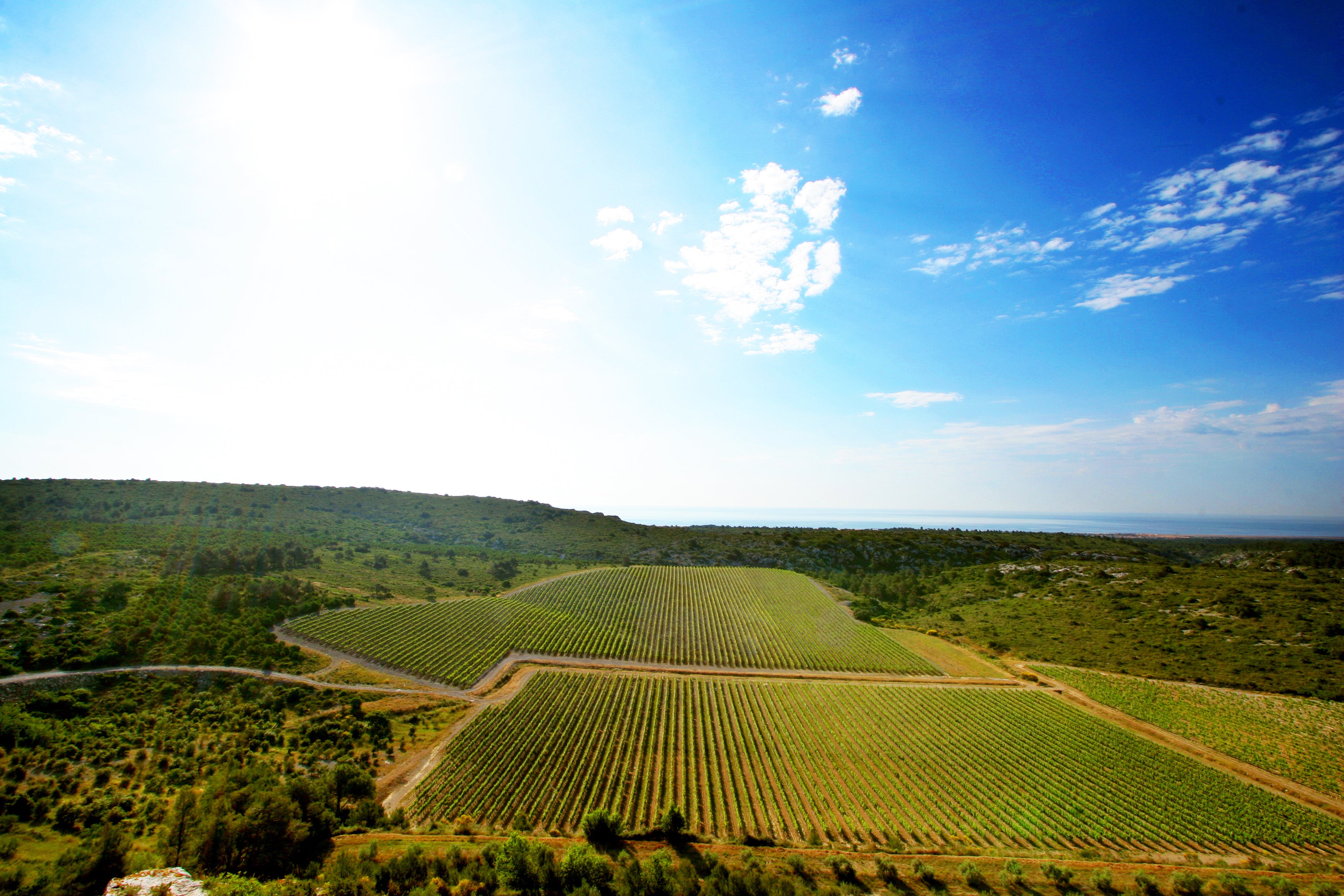 L'Hospitalitas 2023 Coffret Bois 6 Bouteilles 75cl vin rouge biodynamique la Clape - Gérard Bertrand 