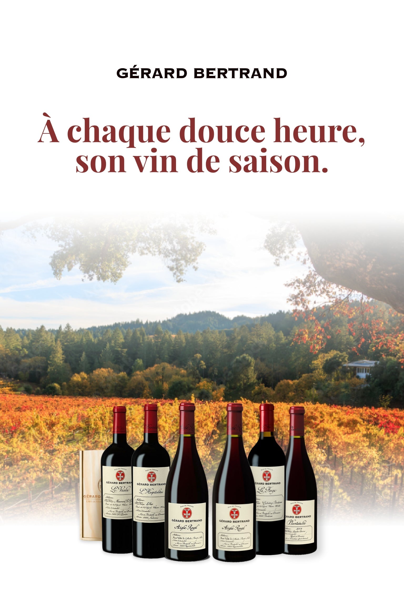 Mode cocooning activé