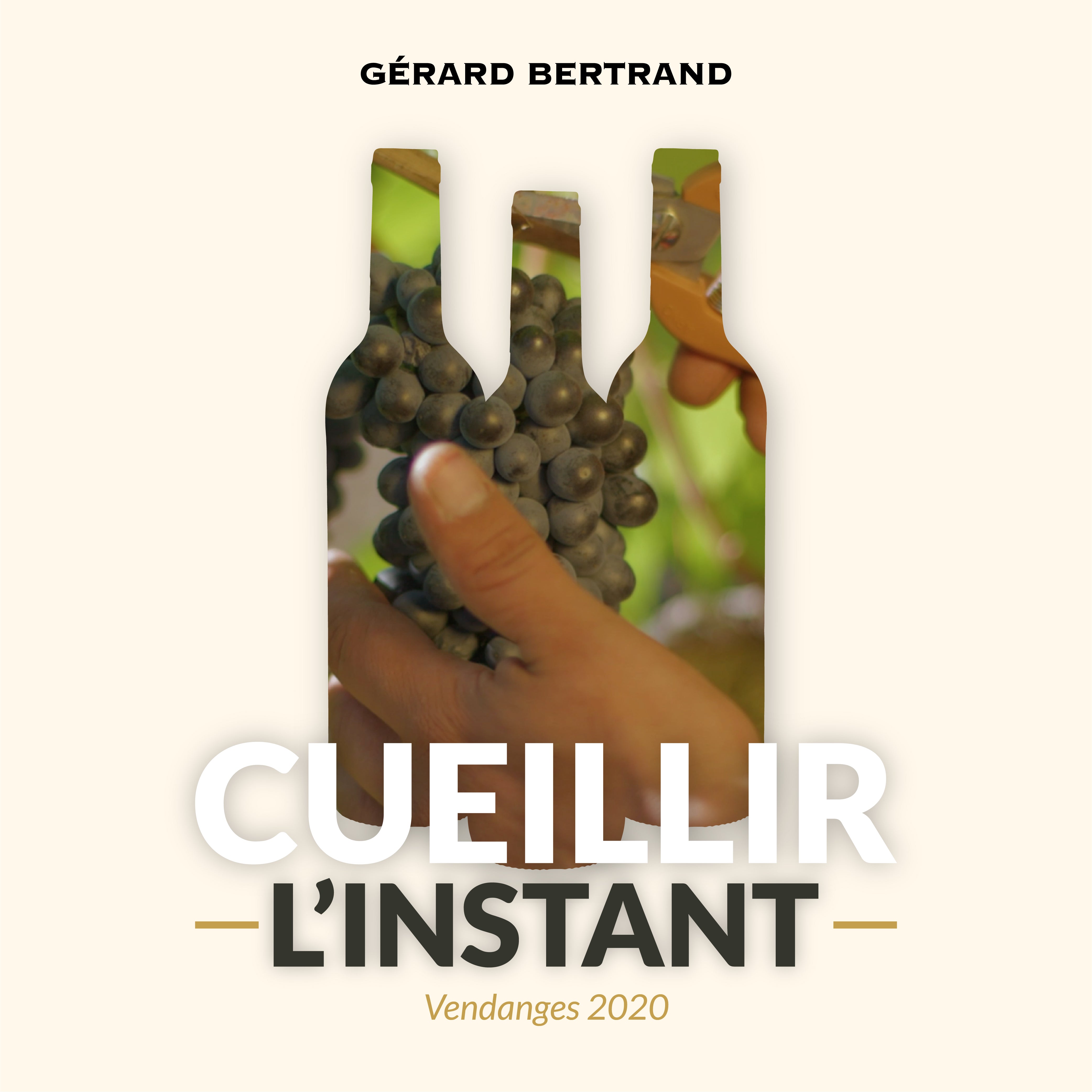 Millésime 2020 : tendances et perspectives dans les Domaines et Châteaux Gérard Bertrand