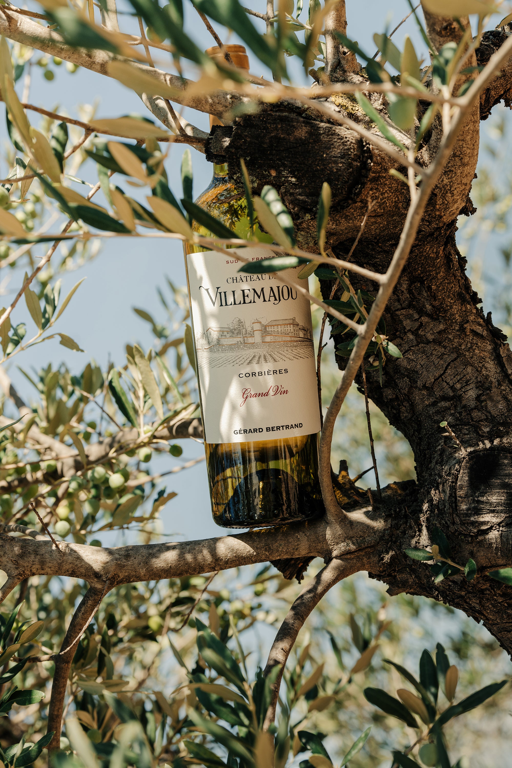 Château de Villemajou Grand Vin 2023 75cl vin blanc corbières - Gérard Bertrand 