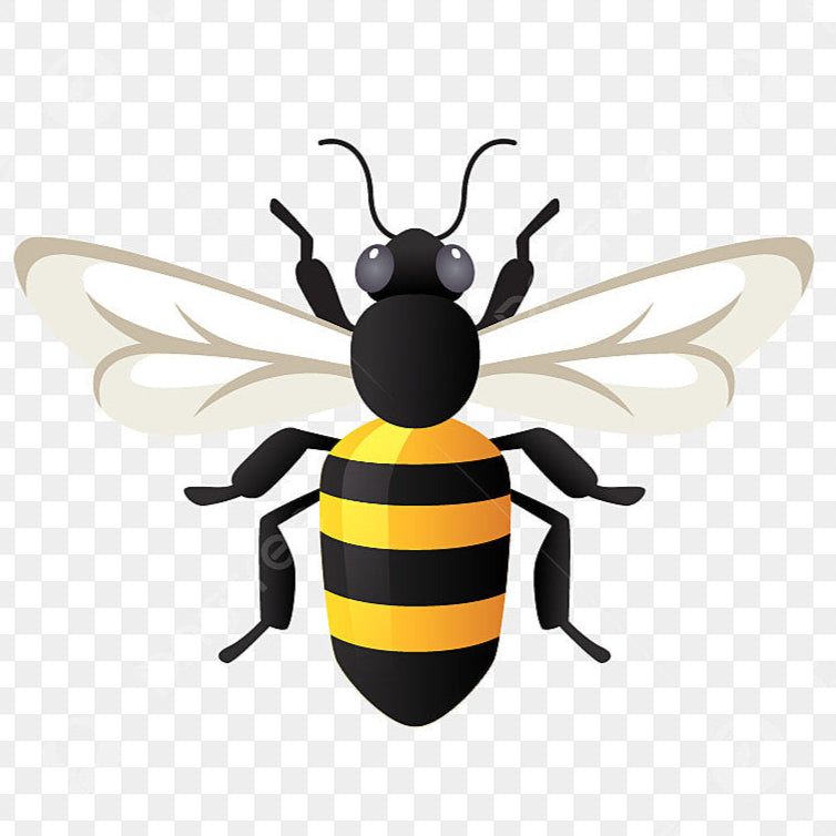 gid://shopify/MediaImage/52147730809178