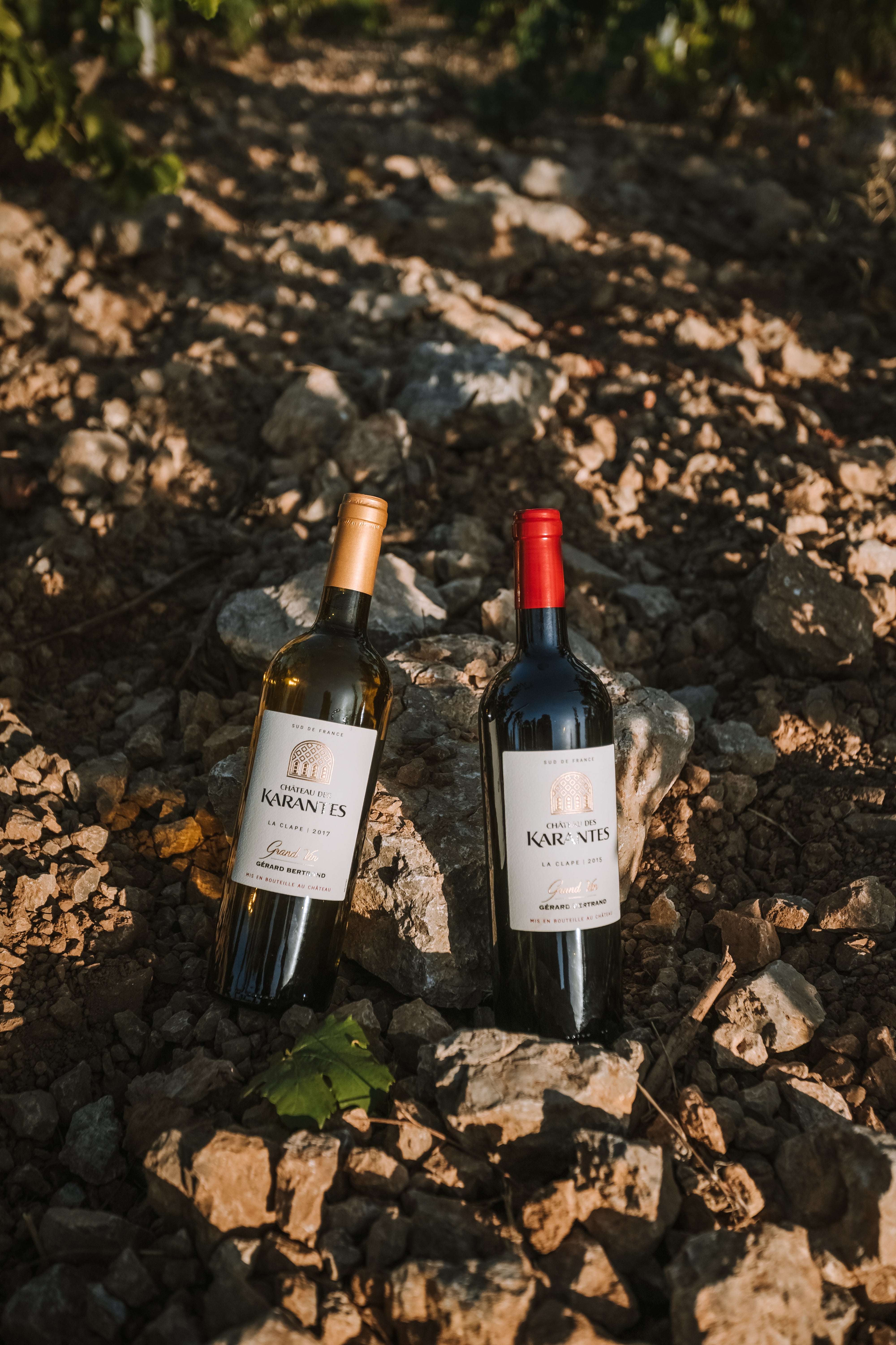 Château des Karantes Grand Vin blanc 2023 75cl - Gérard Bertrand 