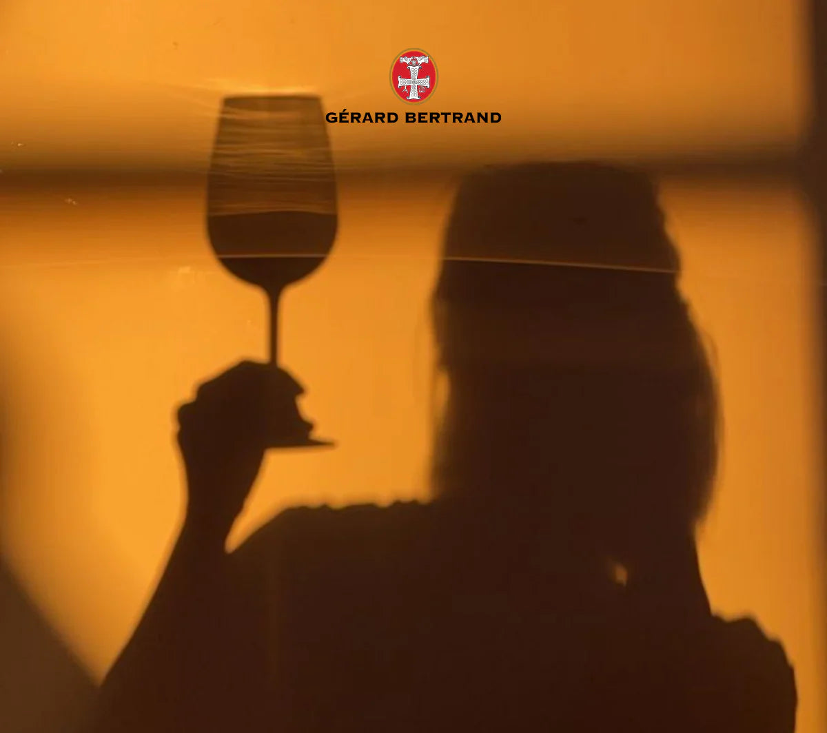 Vins & Détente : L’Art de savourer l’instant