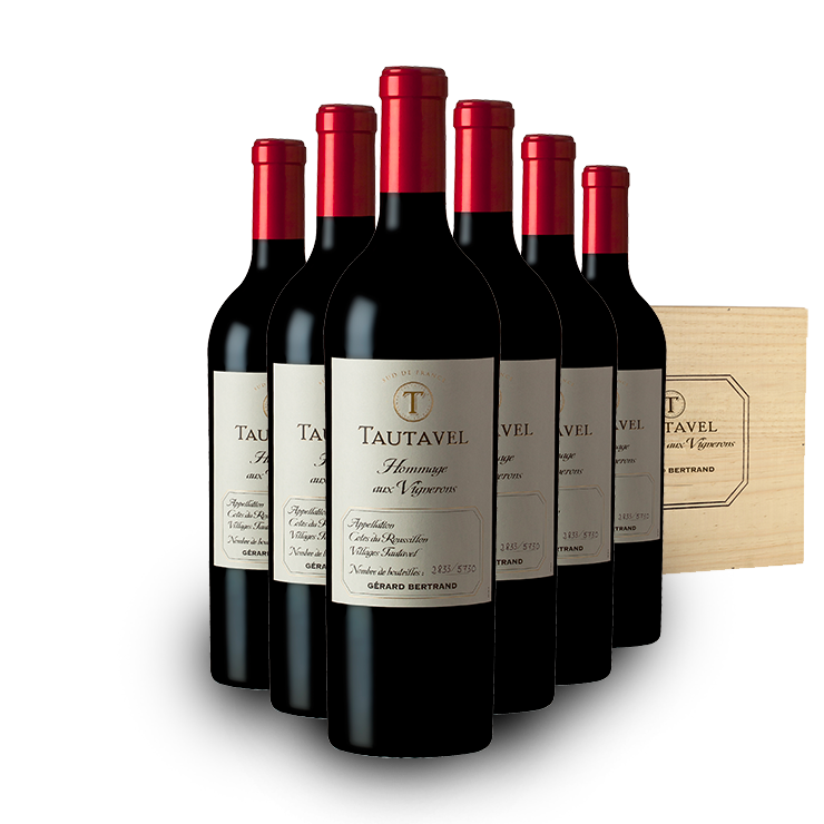 Tautavel Hommage aux vignerons 2022 75cl Caisse Bois 6 Bouteilles - Gérard Bertrand 