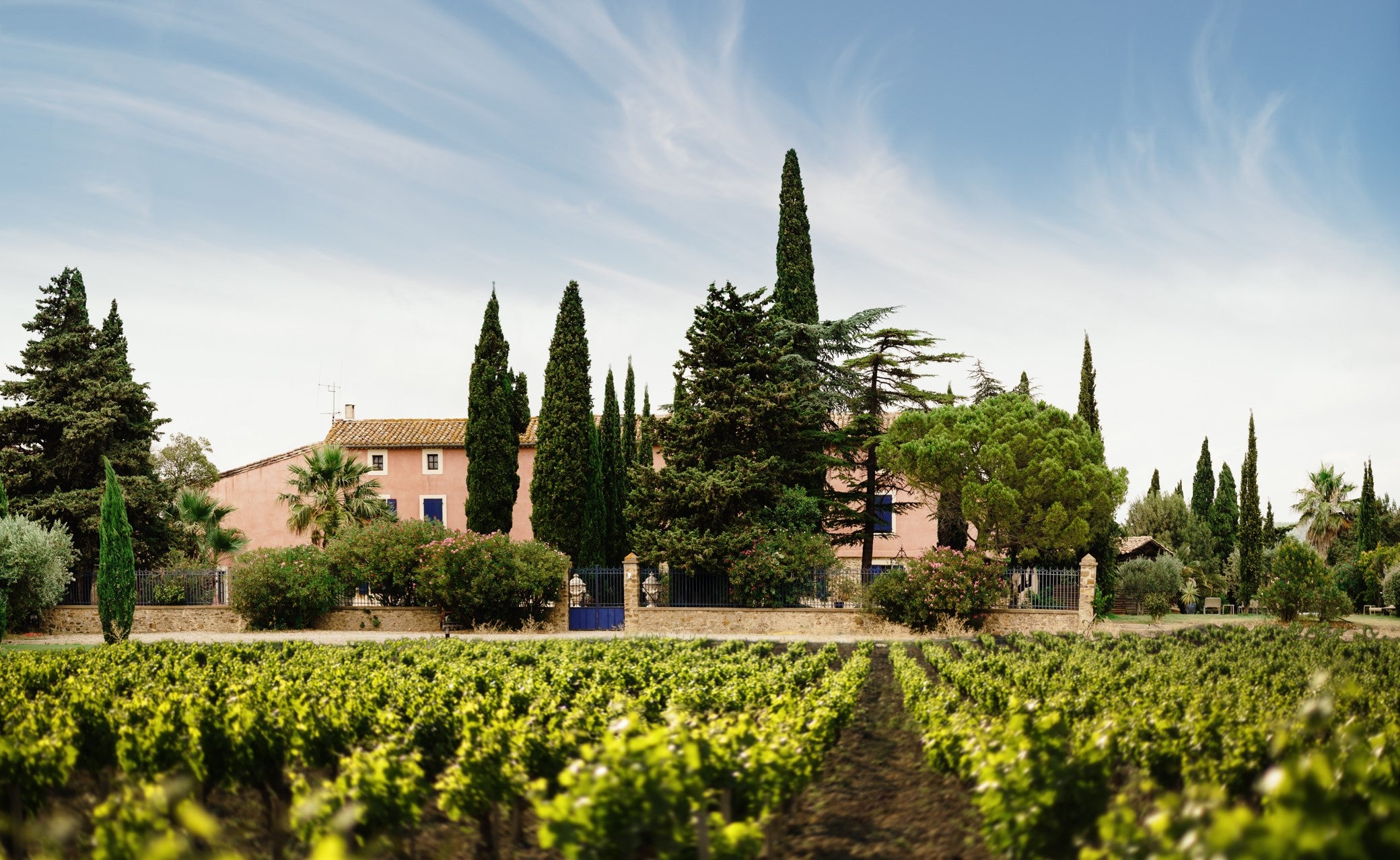 Cigalus 2024 75cl vin blanc biodynamique Caisse Bois 6 Bouteilles - Gérard Bertrand 