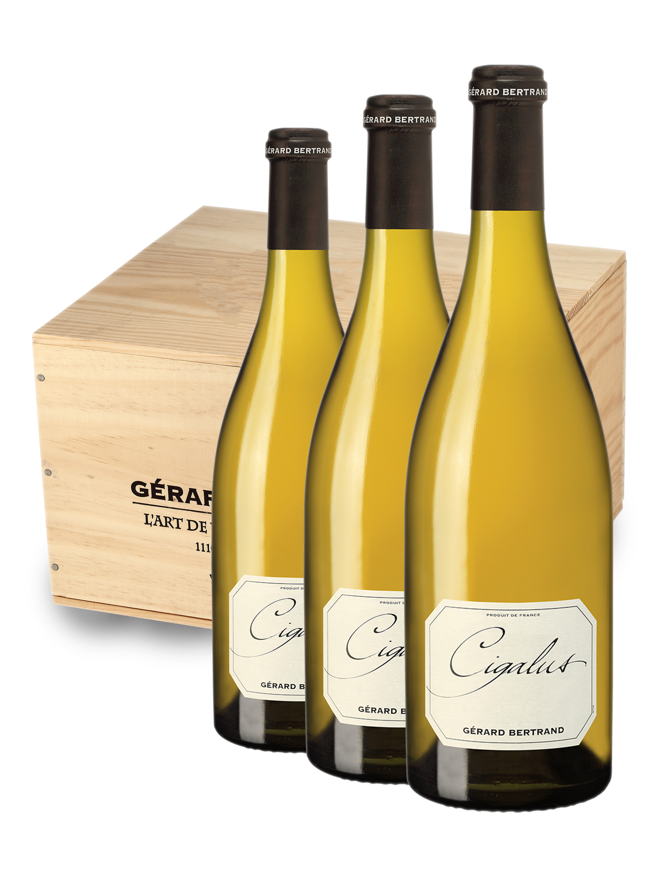 Cigalus 2024 75cl vin blanc biodynamique Caisse Bois 6 Bouteilles - Gérard Bertrand 