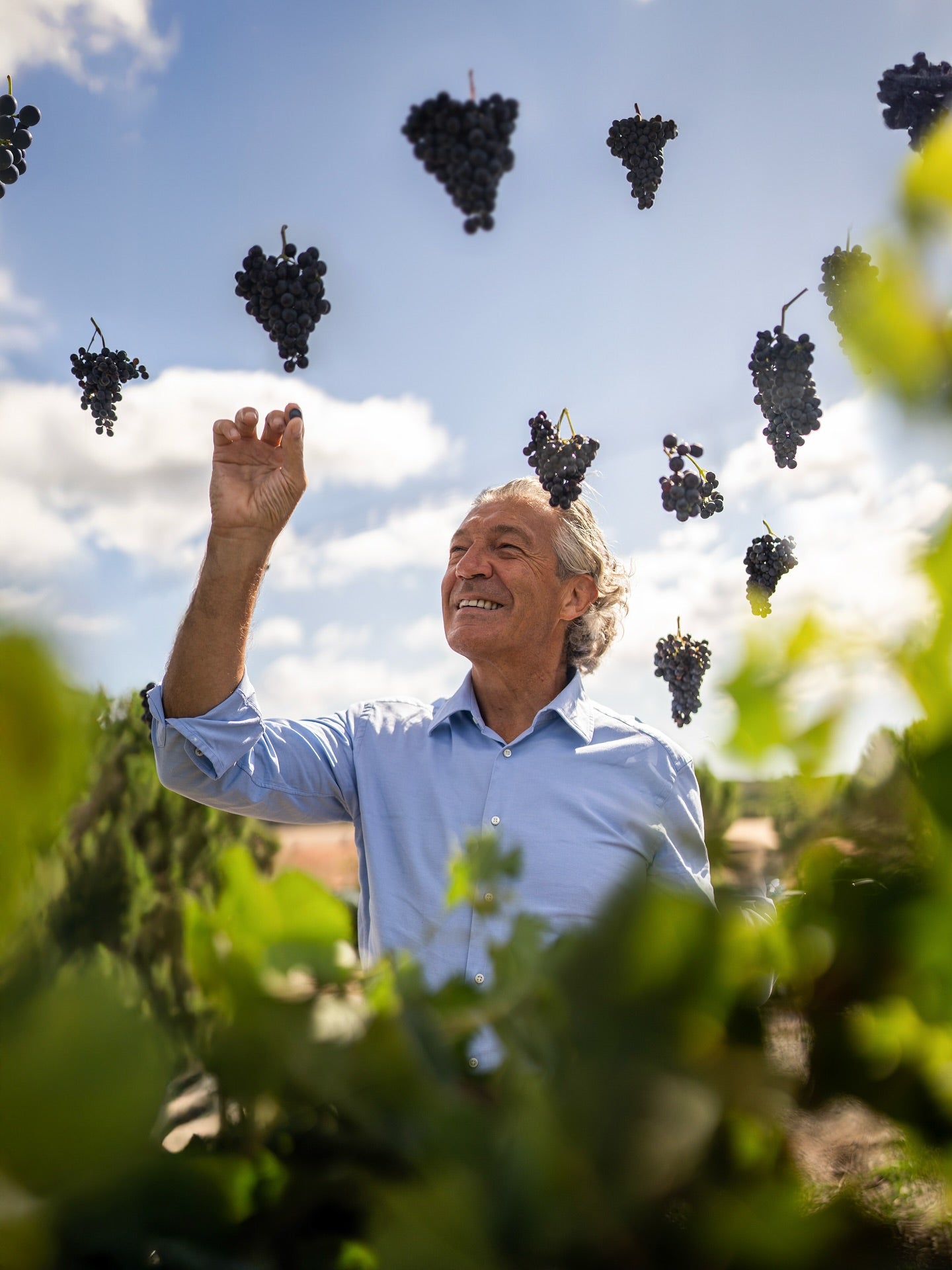 Retour sur les vendanges 2025