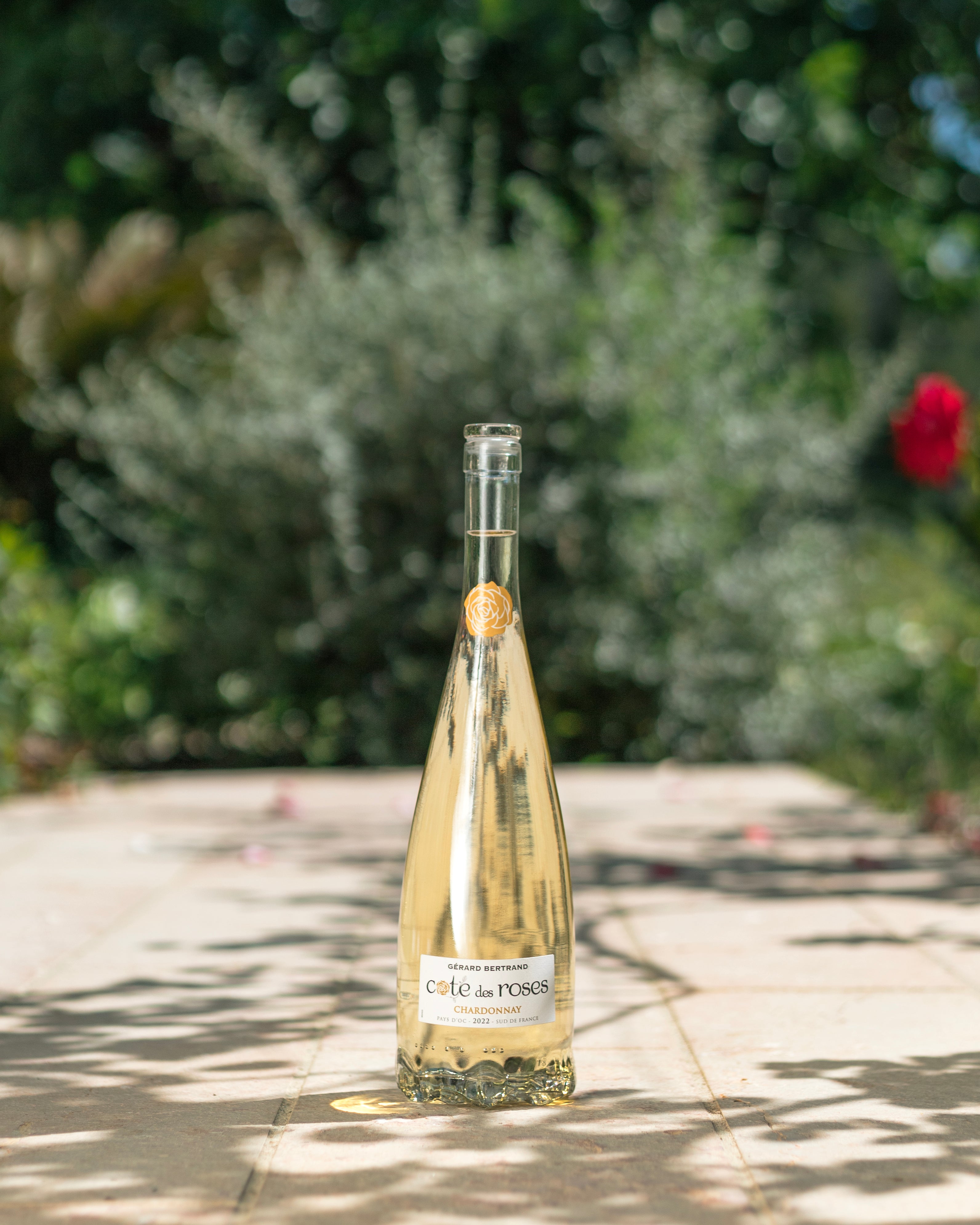 Cote des Roses chardonnay vin blanc demi bouteille 37,5cl 2022 - Gérard Bertrand 