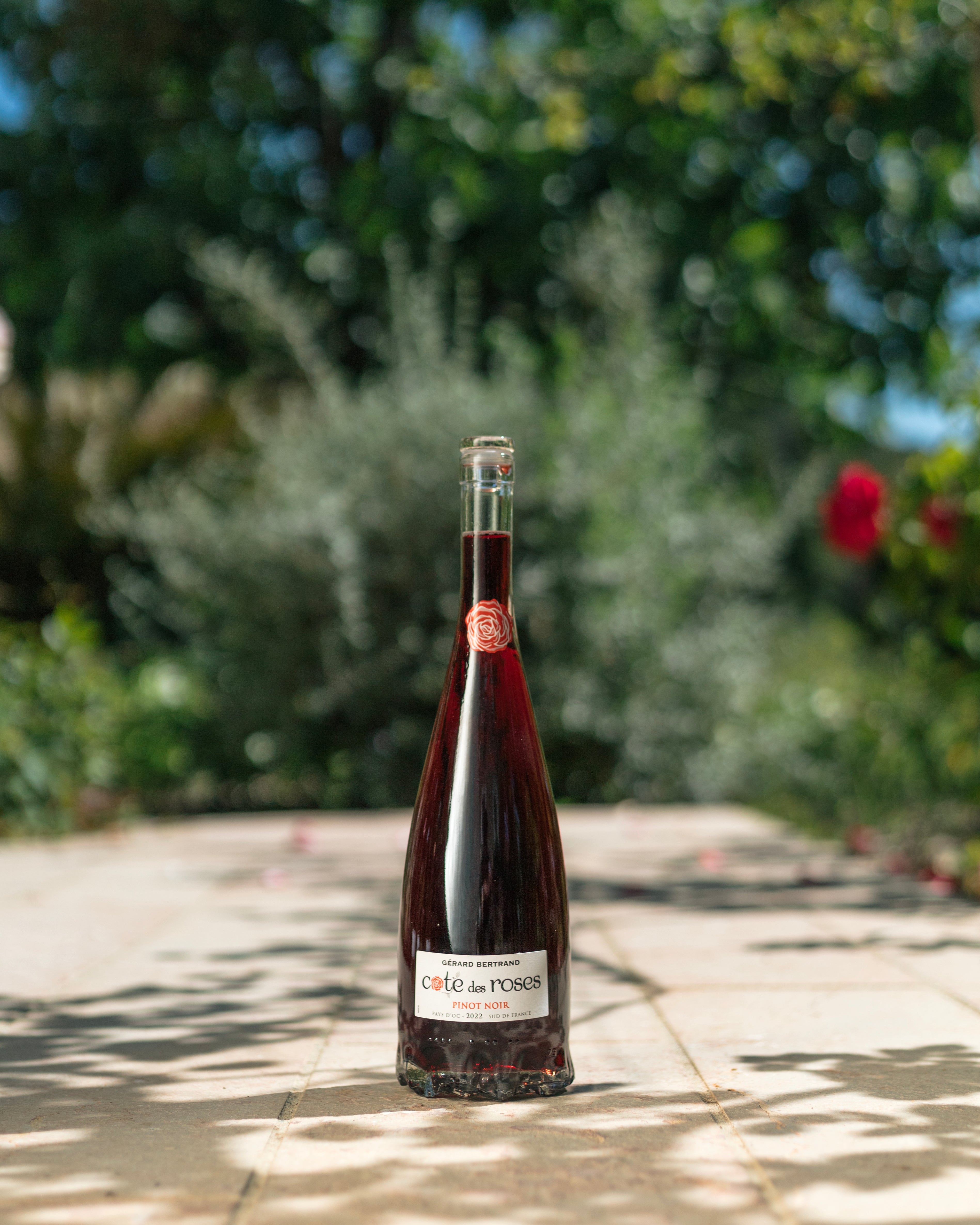 Cote des Roses Pinot noir vin rouge 6 demi bouteilles 37,5cl 2022 - Gérard Bertrand 