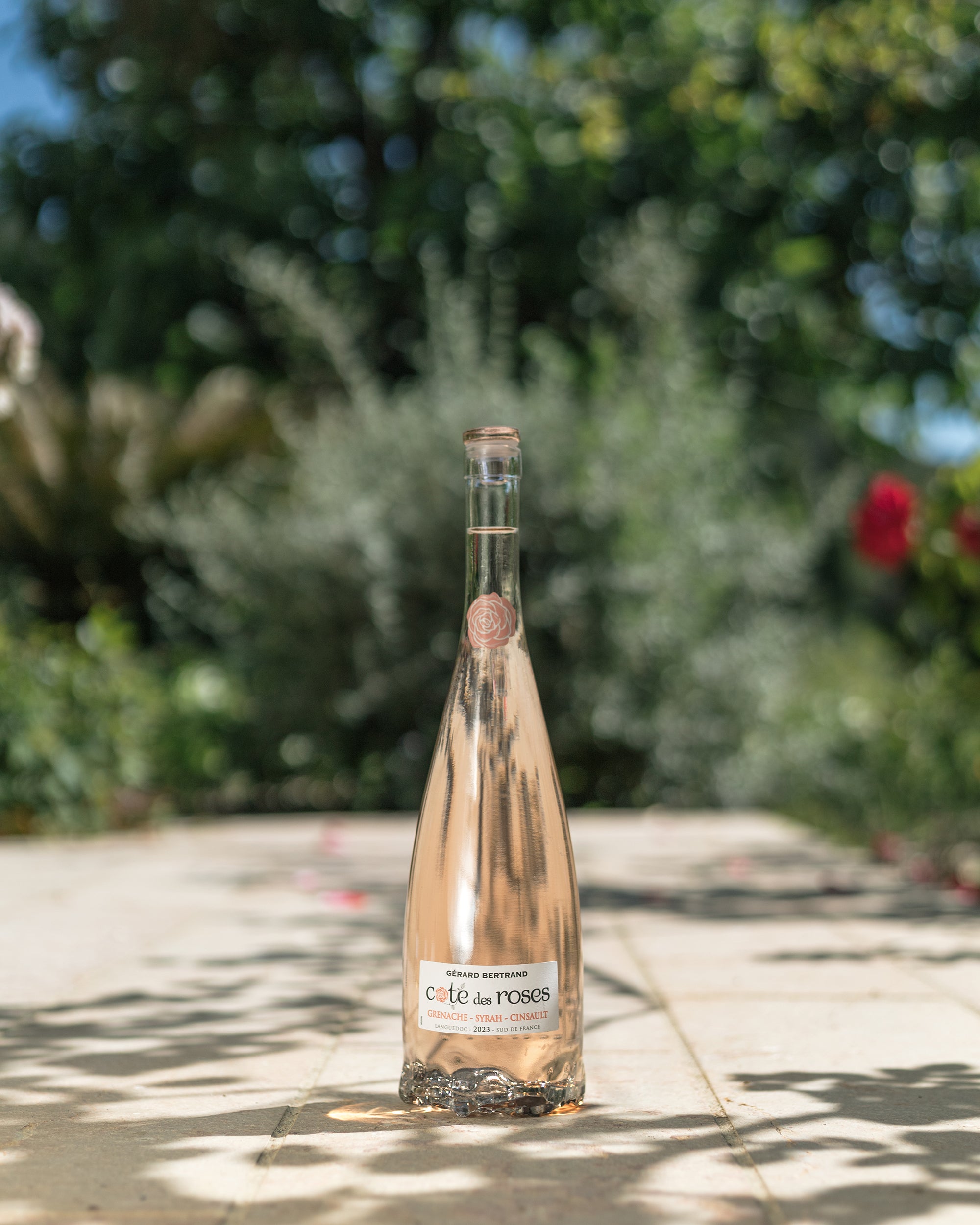 Cote des Roses vin rosé 6 demi bouteilles 37,5cl 2024 - Gérard Bertrand 