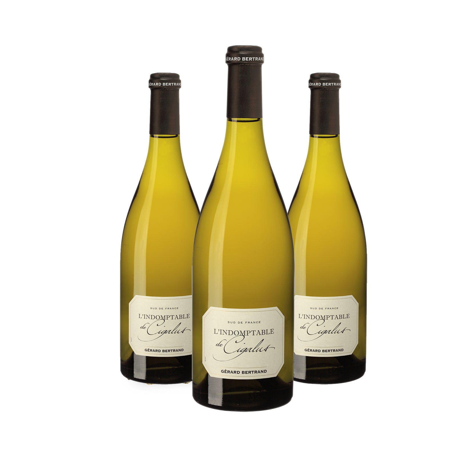 Indomptable de Cigalus Blanc 2024 Lot 3 bouteilles 75cl - Gérard Bertrand 