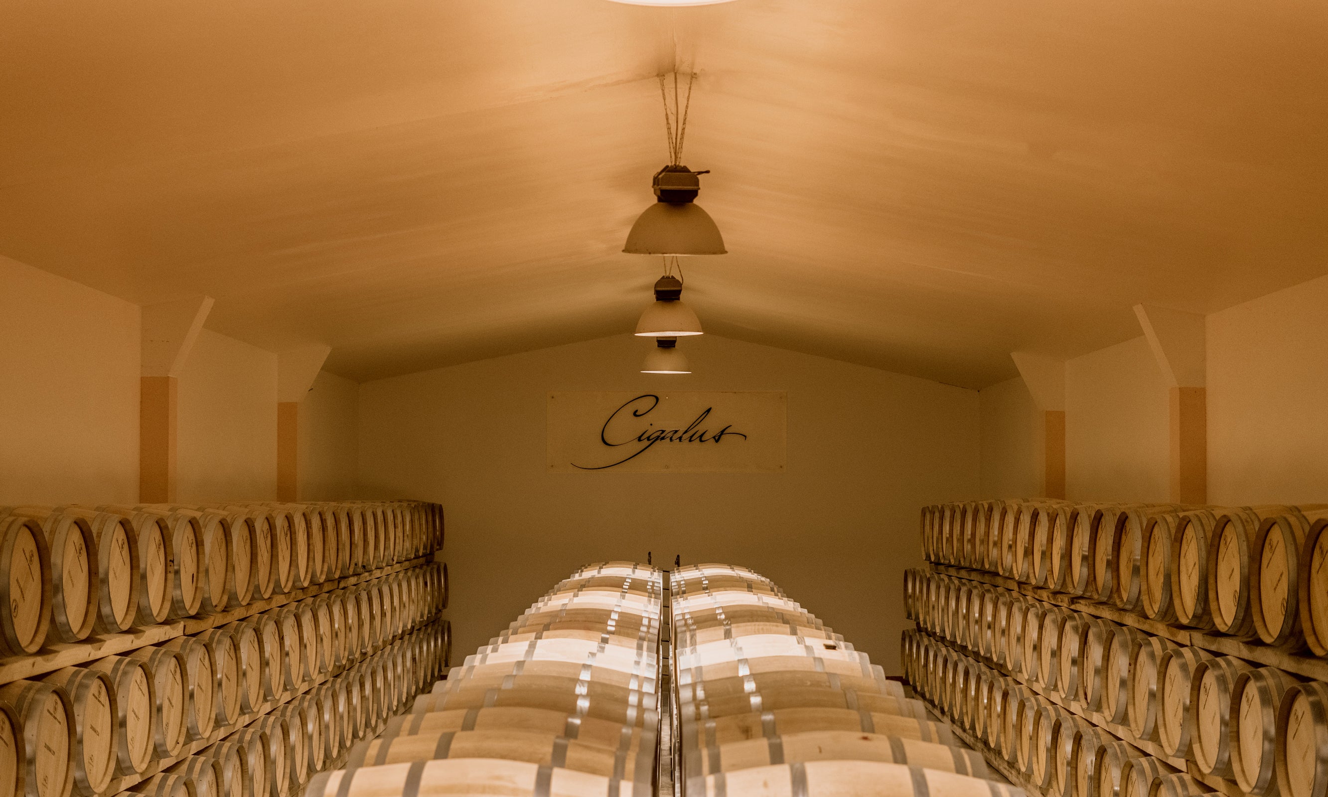 Découvrir la biodynamie - Box Cigalus - Gérard Bertrand 