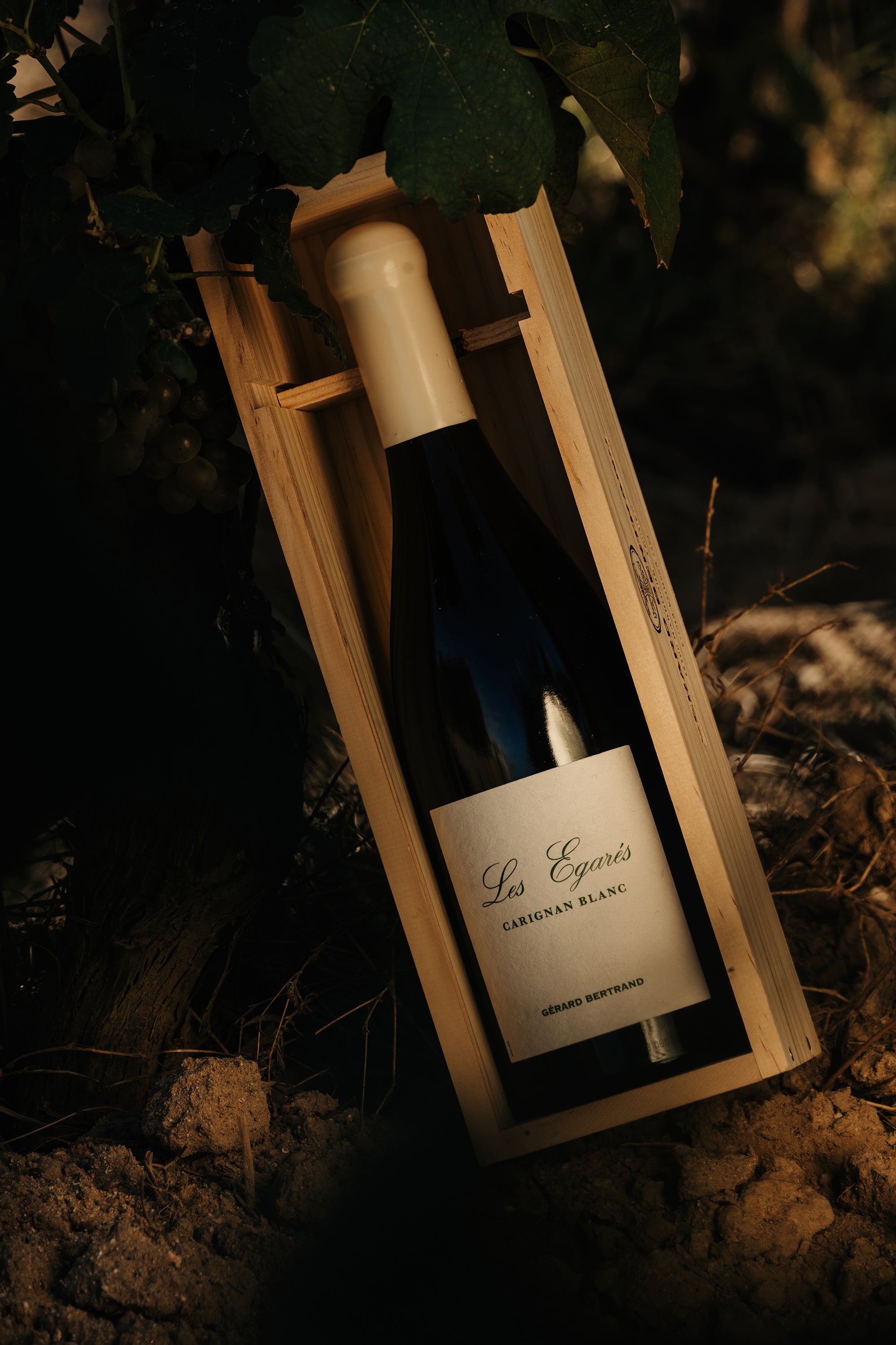 Les Égarés Carignan Blanc 2023 75cl Caisse Bois Unitaire - Gérard Bertrand 