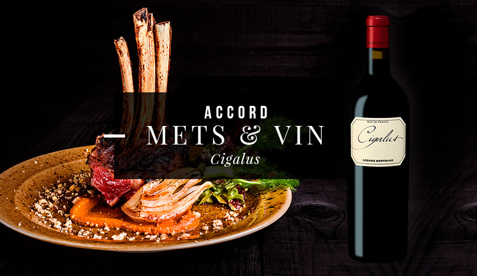 Accord Mets et vin de Pâques - Agneau et Cigalus