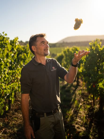 Portrait de vendanges