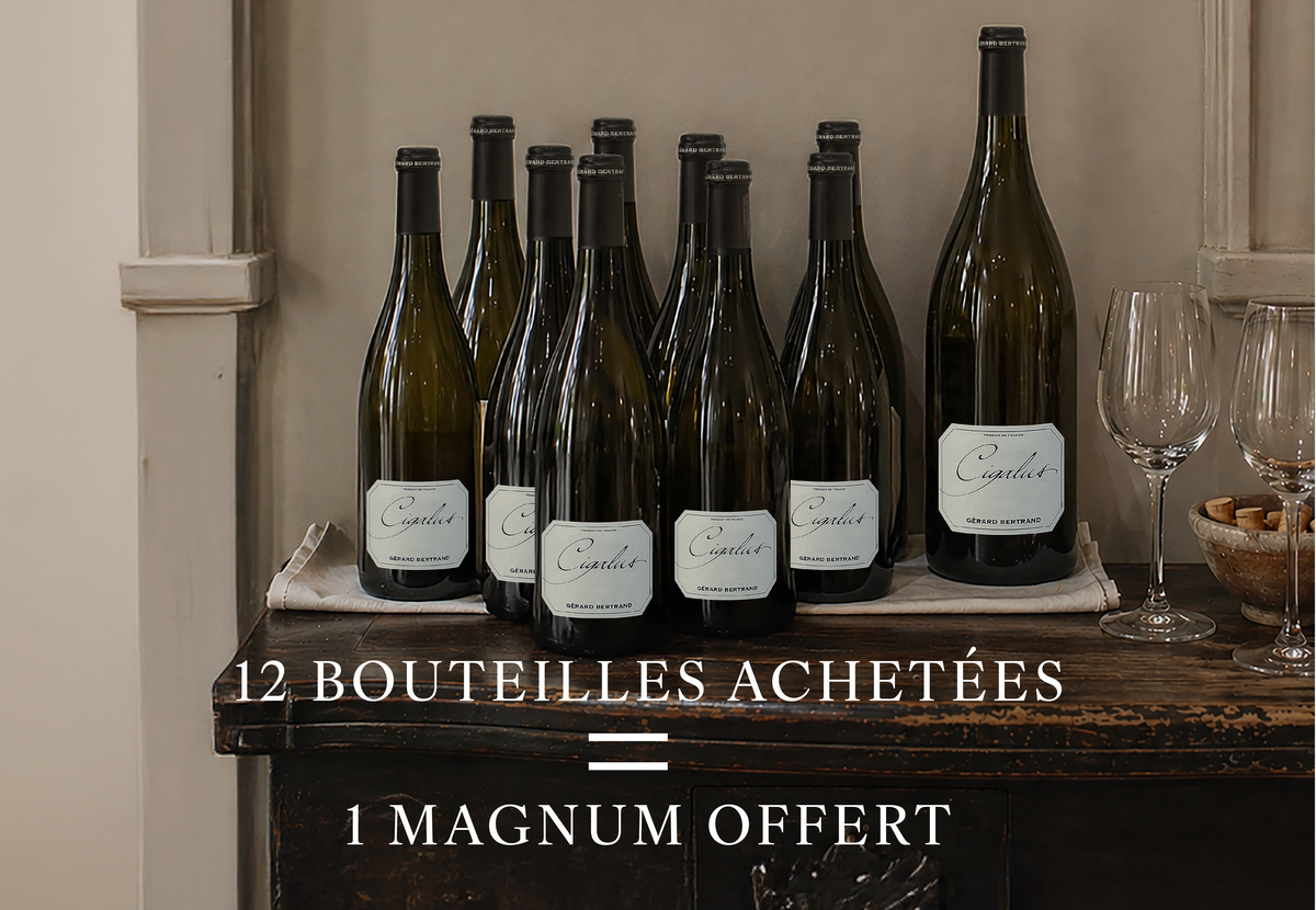 Les offres sur nos parcelles et grands vins