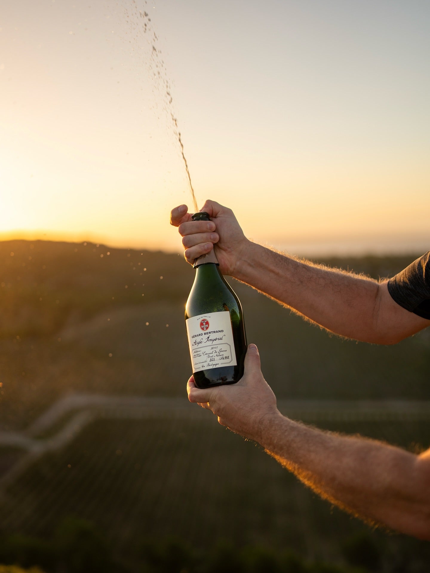 Nos best seller à offrir 🎁