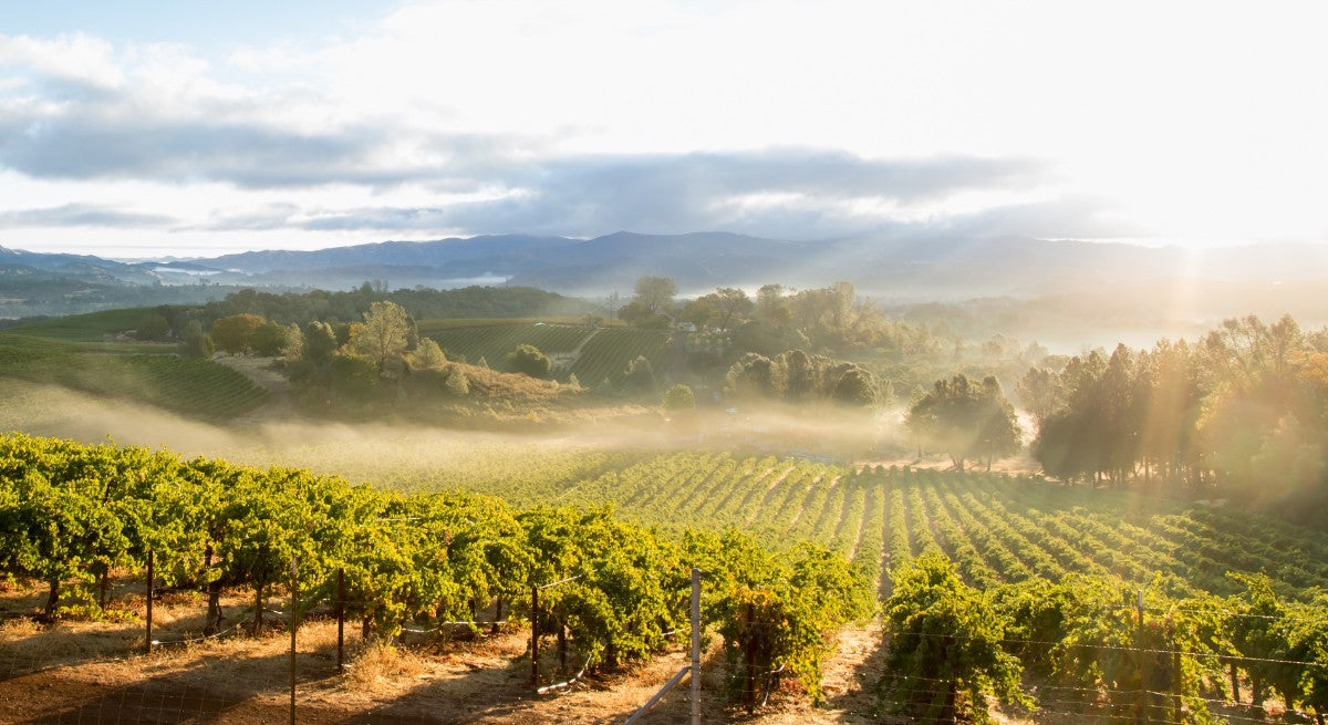 Journée de la Terre