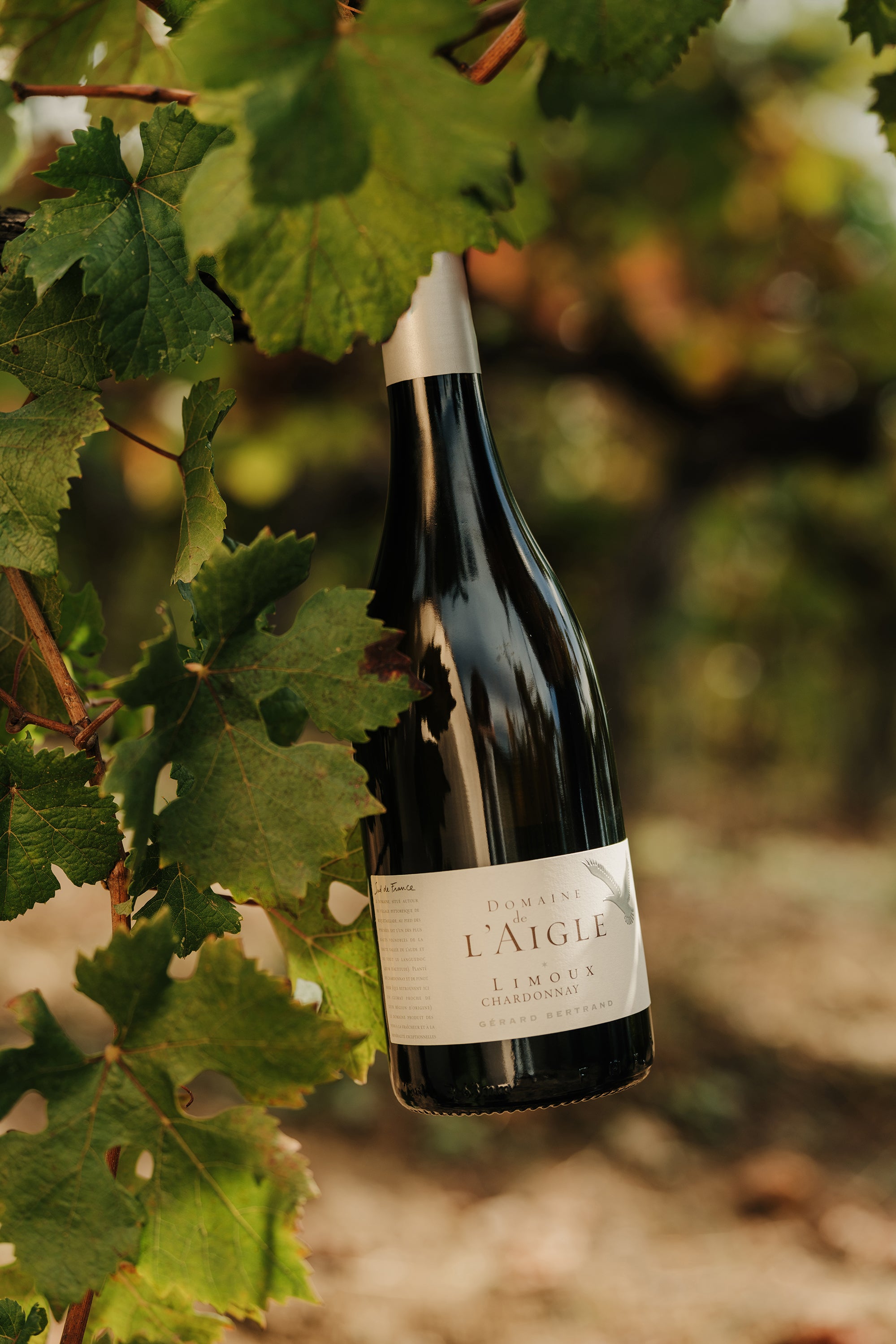 Domaine de l'Aigle Chardonnay 2022 75cl - Gérard Bertrand 