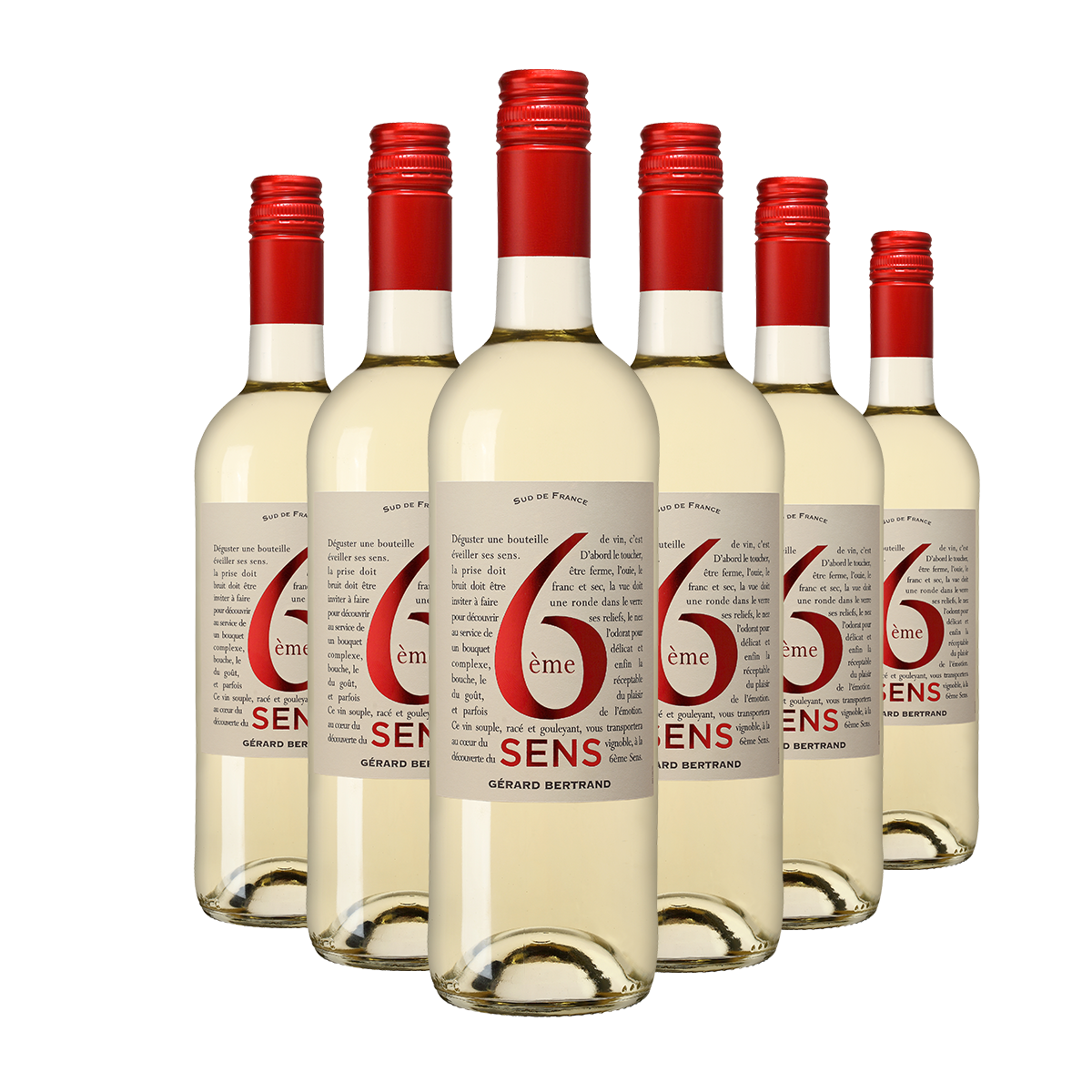 6ème sens 白 IGP Pays d'Oc 2025 – 6本セット 75cl 白ワイン