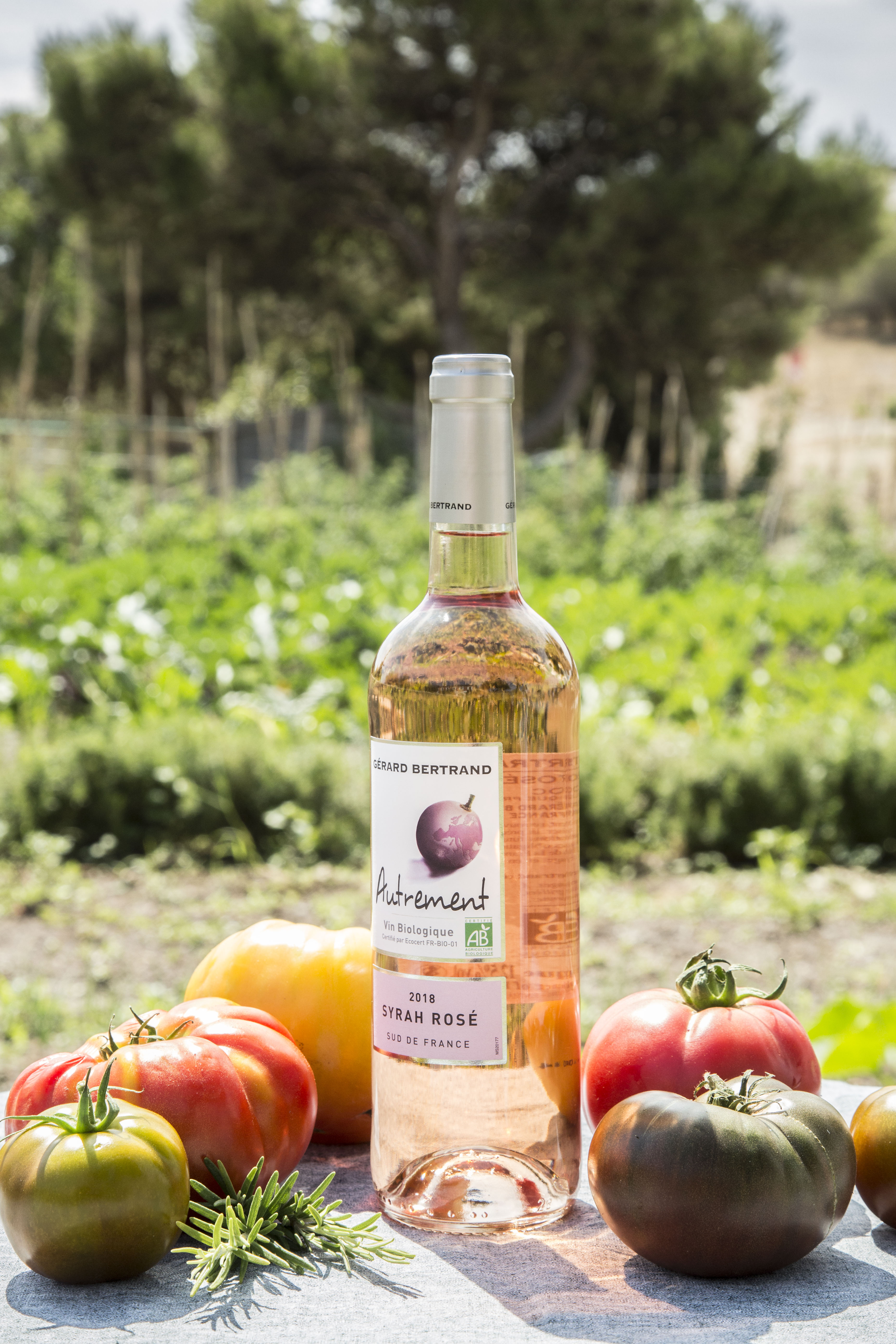 Autrement Grenache 2025 Roséwein bio 6 Flaschen 75cl