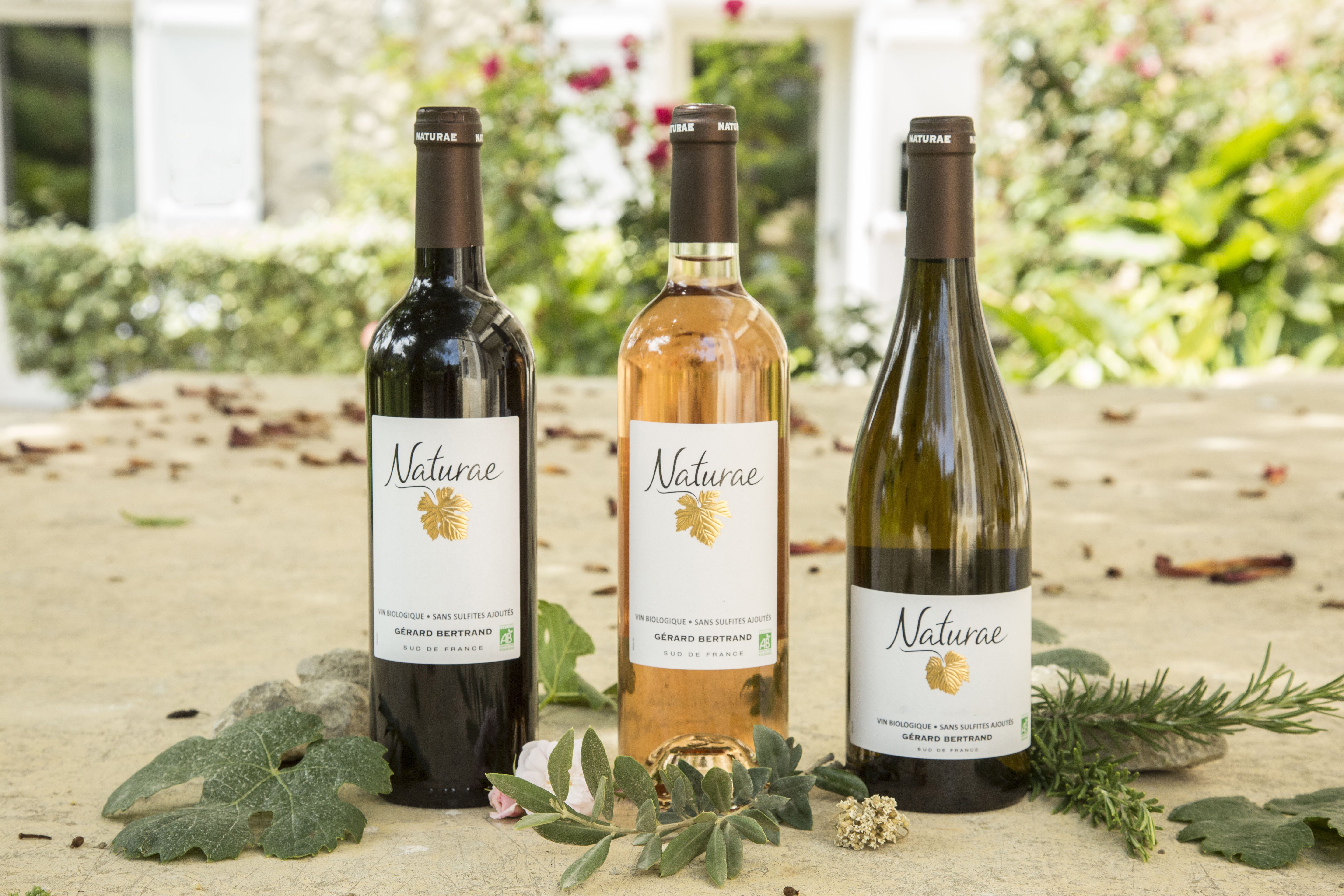 Naturae Syrah rouge 2024 75cl