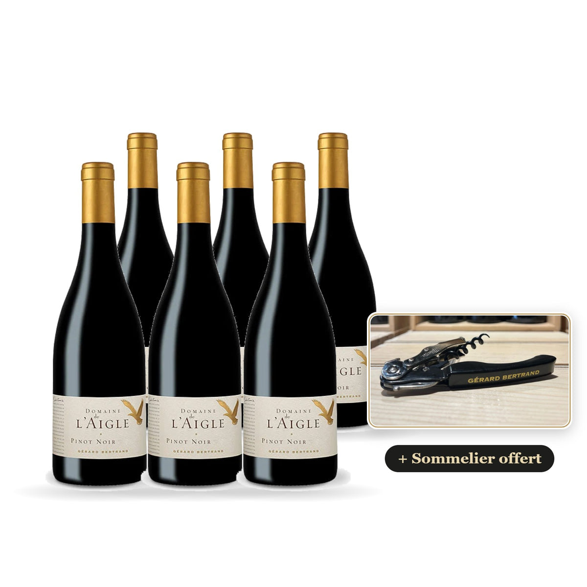 Lote de 6 botellas de Domaine de l'Aigle Pinot Noir 2024 con sacacorchos de camarero Gérard Bertrand de regalo