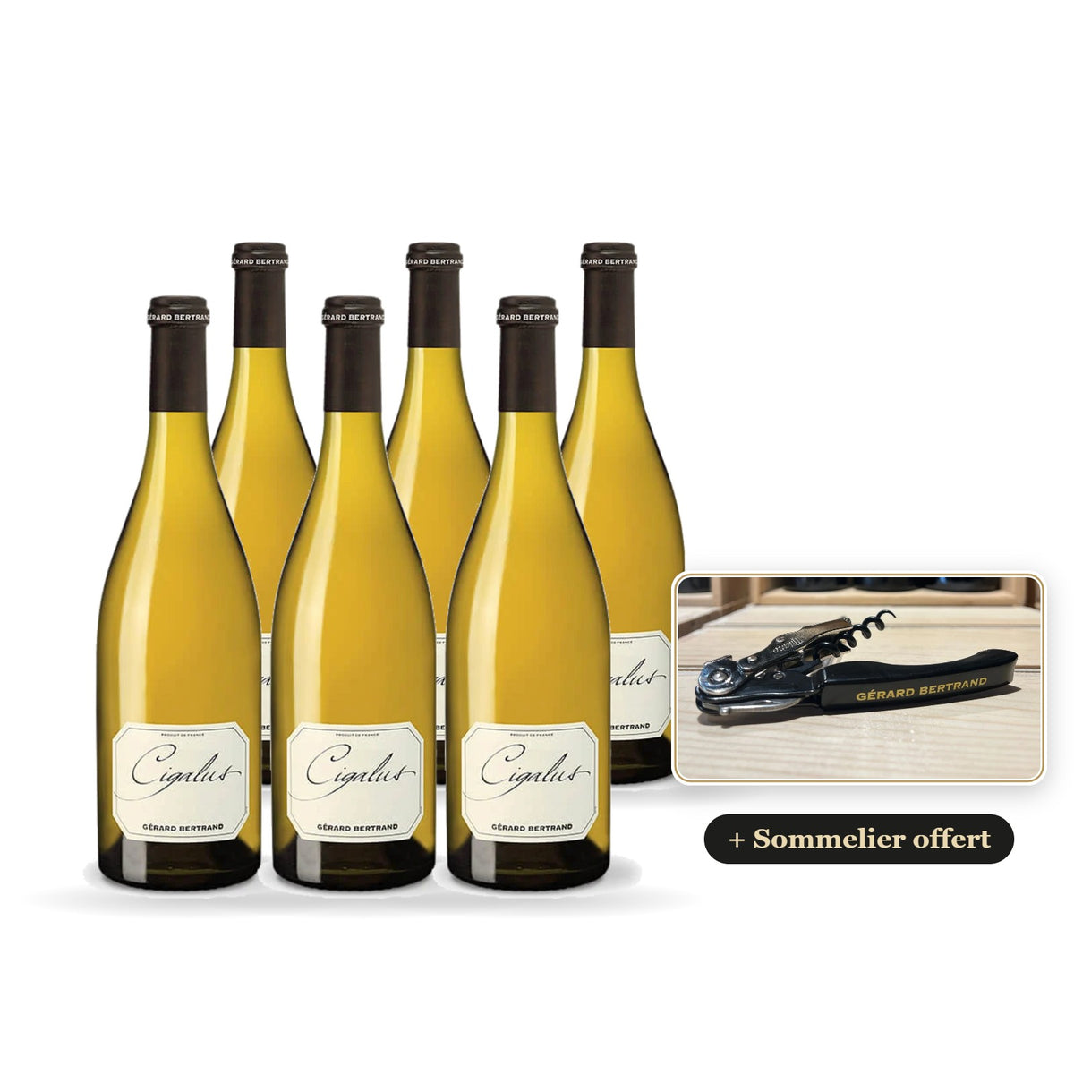 Lote de 6 botellas de Cigalus blanco 2025 con sacacorchos de sumiller Gérard Bertrand de regalo