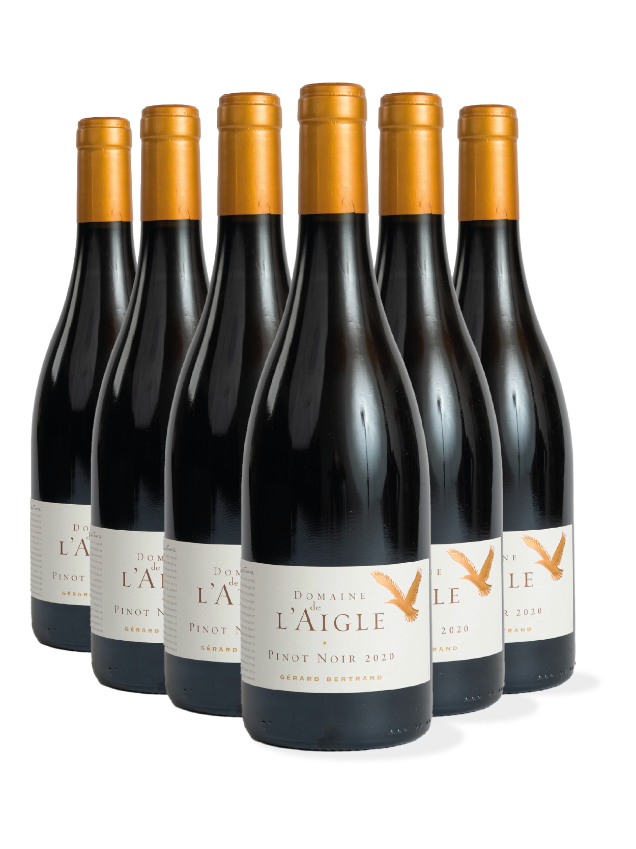 photo du vin Pinot Noir Lot